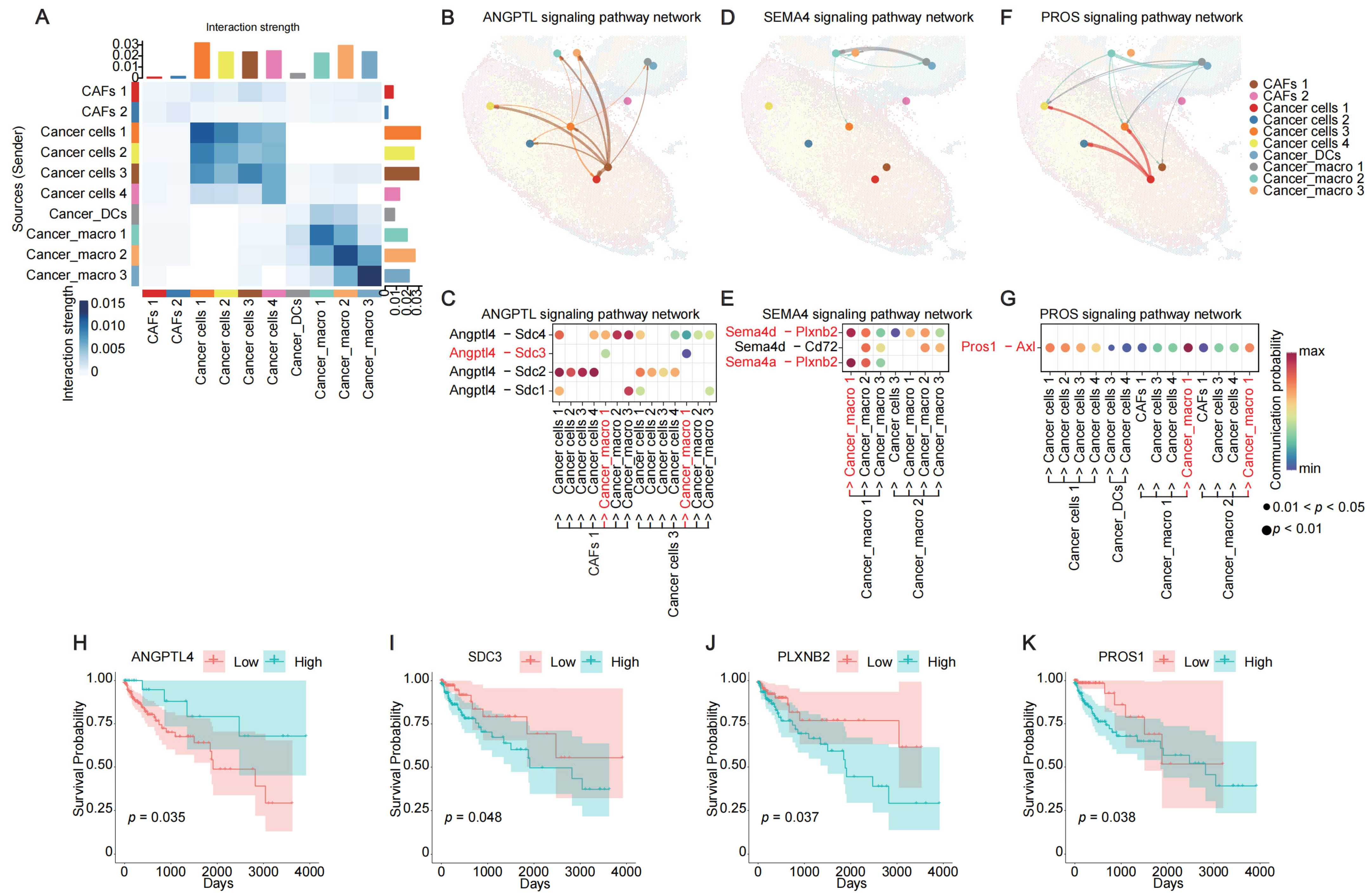 Cancers 17 02402 g004