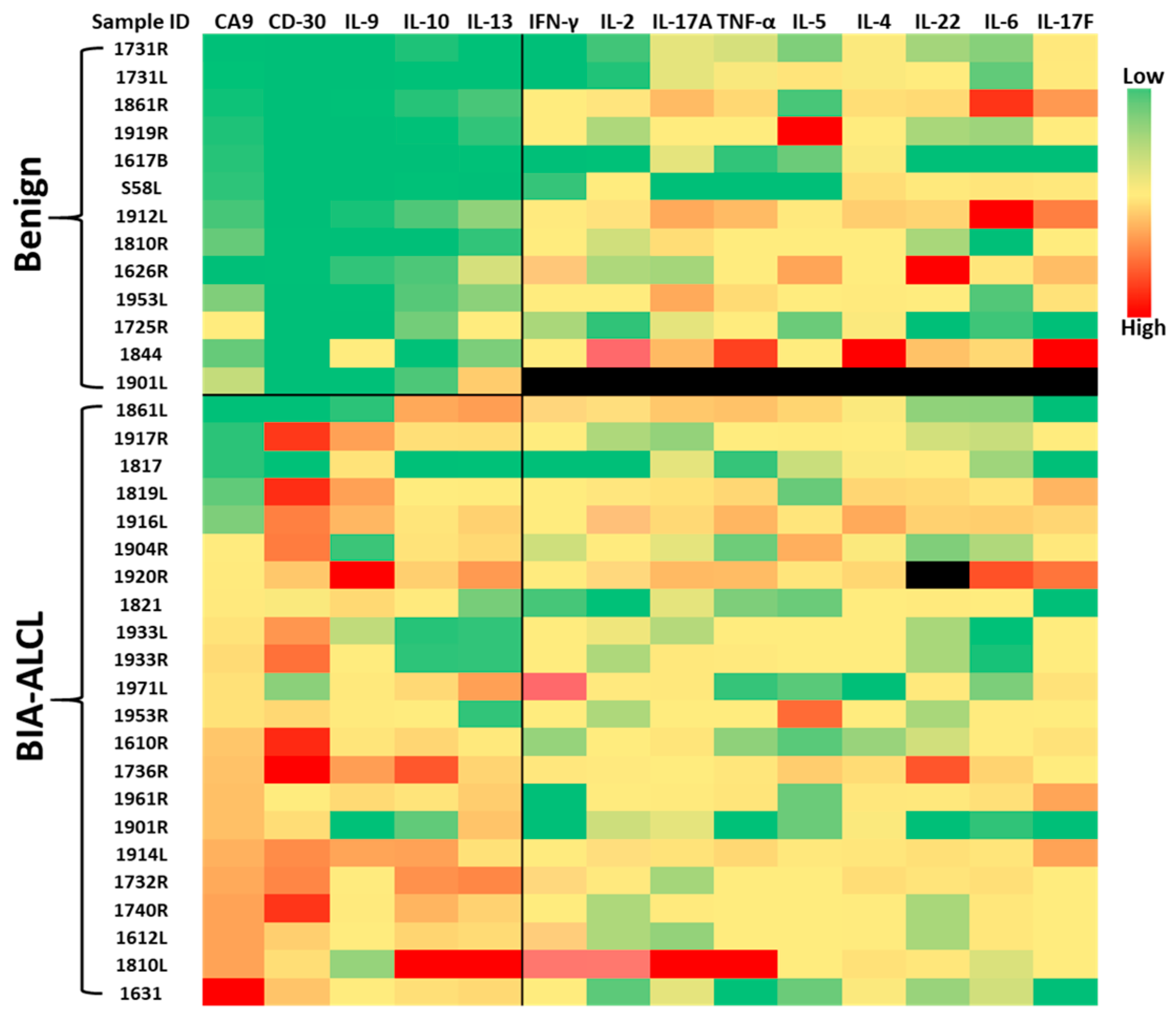 Cancers 17 02405 g001