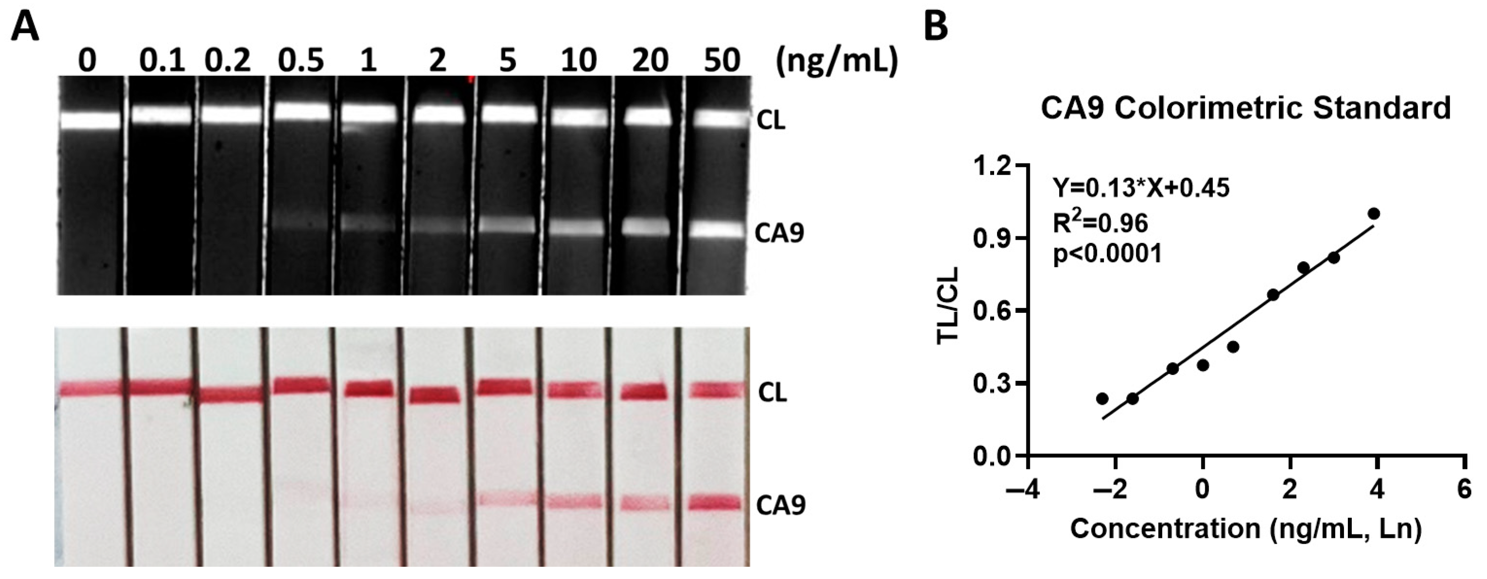 Cancers 17 02405 g002