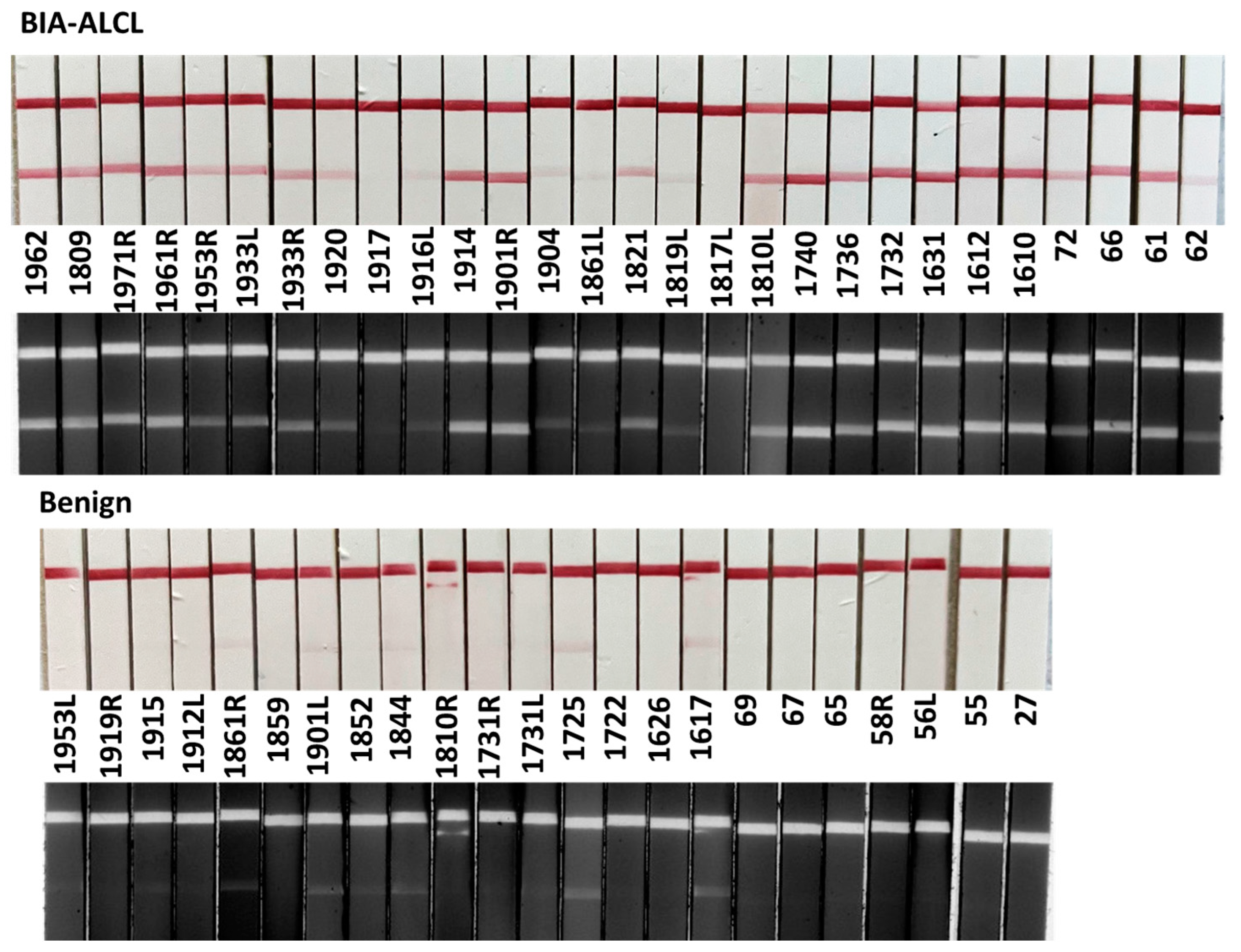 Cancers 17 02405 g004
