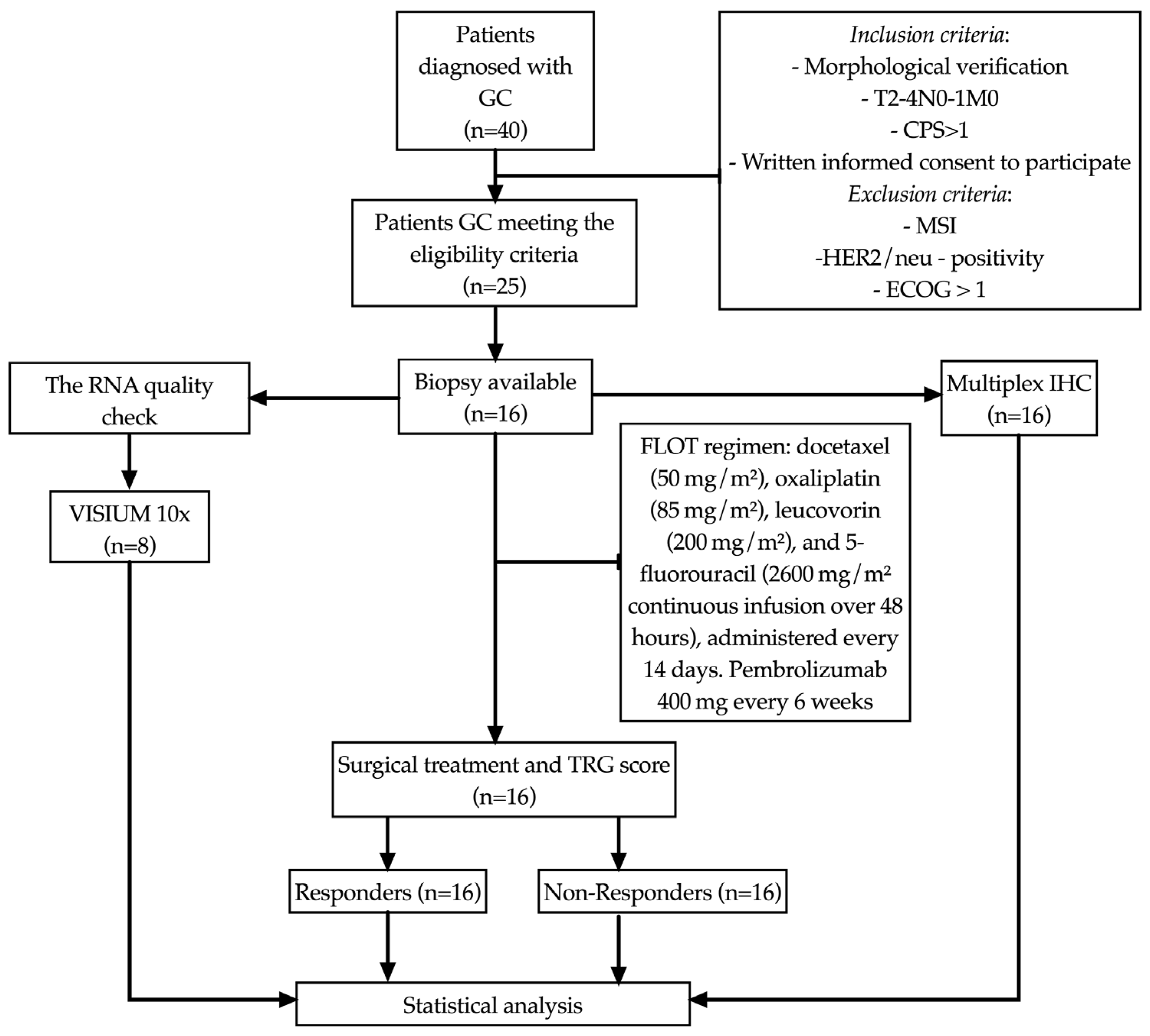 Cancers 17 02407 g001