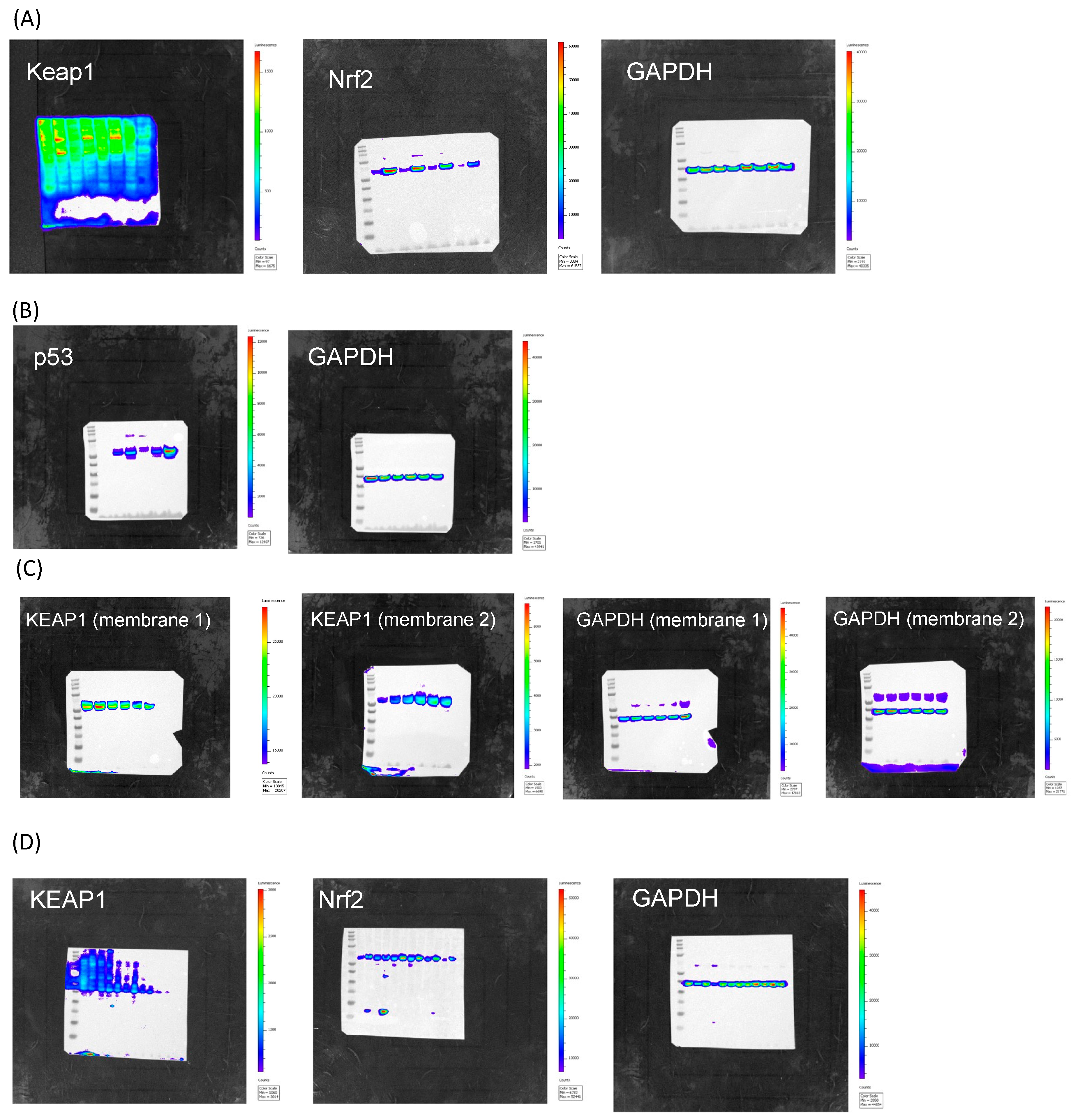 Cancers 17 02408 g001