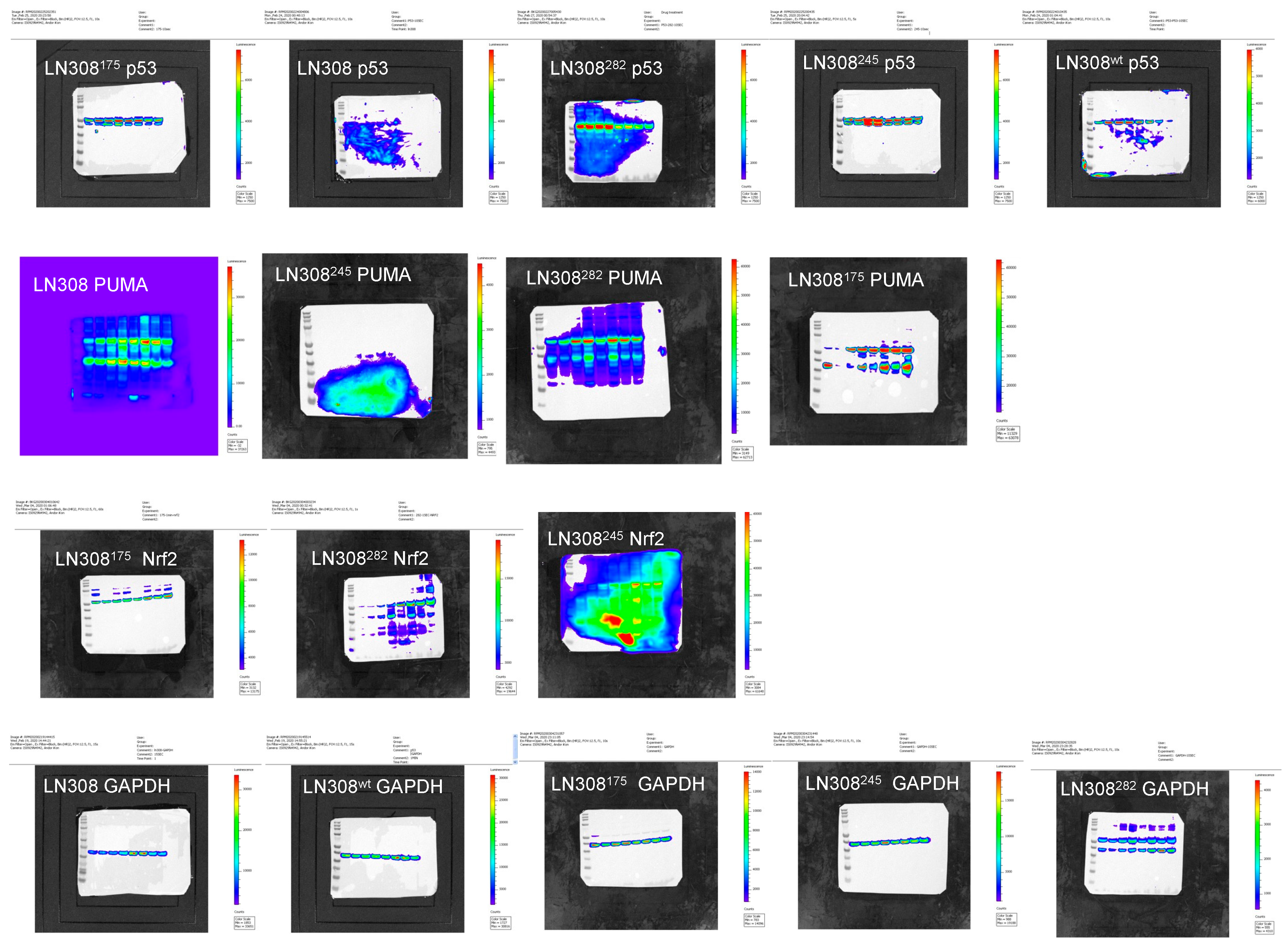 Cancers 17 02408 g002