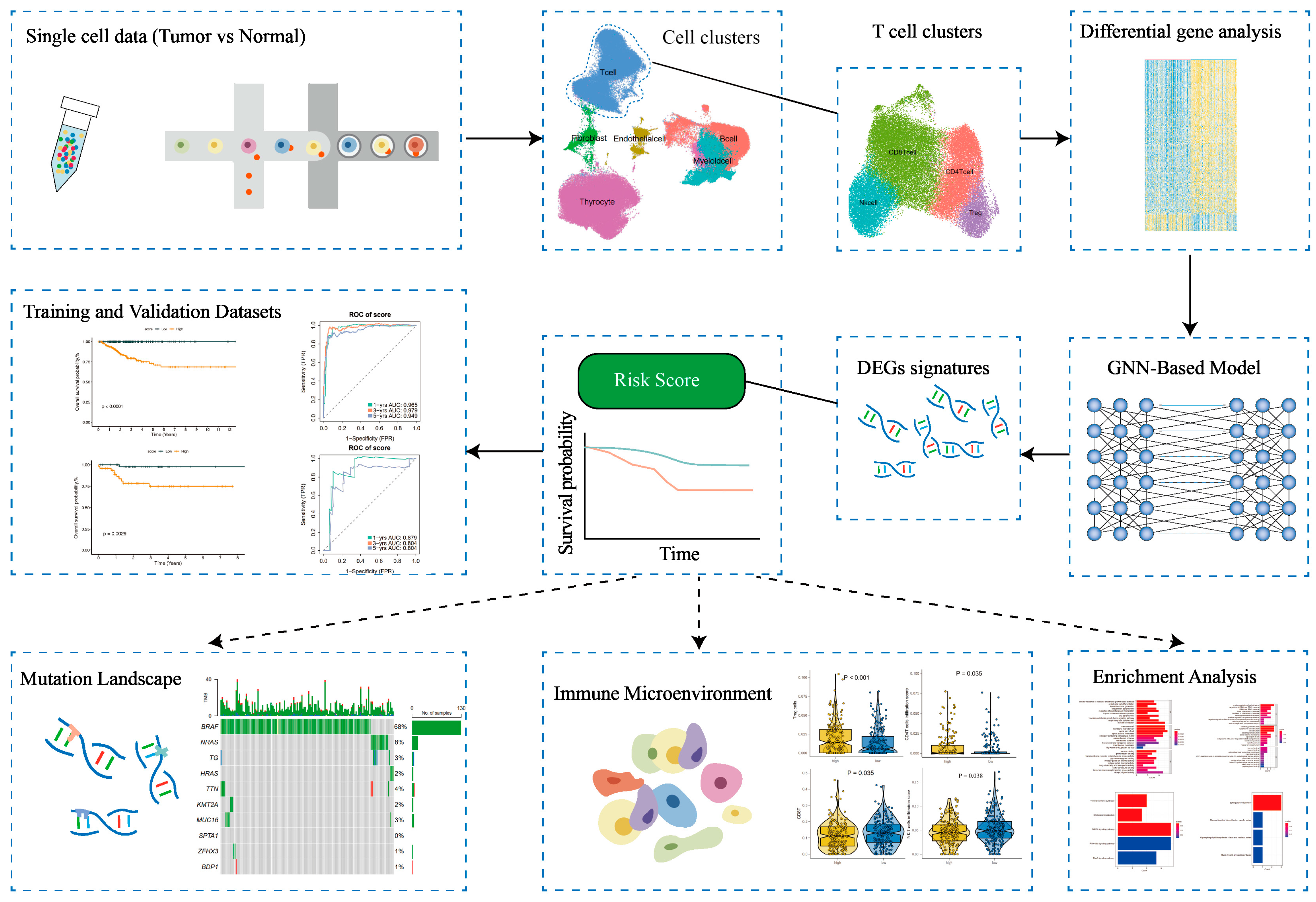 Cancers 17 02411 g001