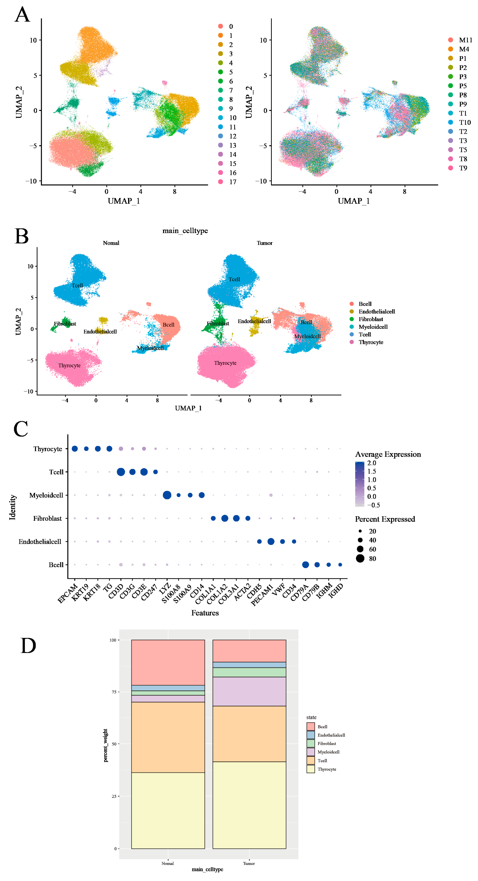 Cancers 17 02411 g002