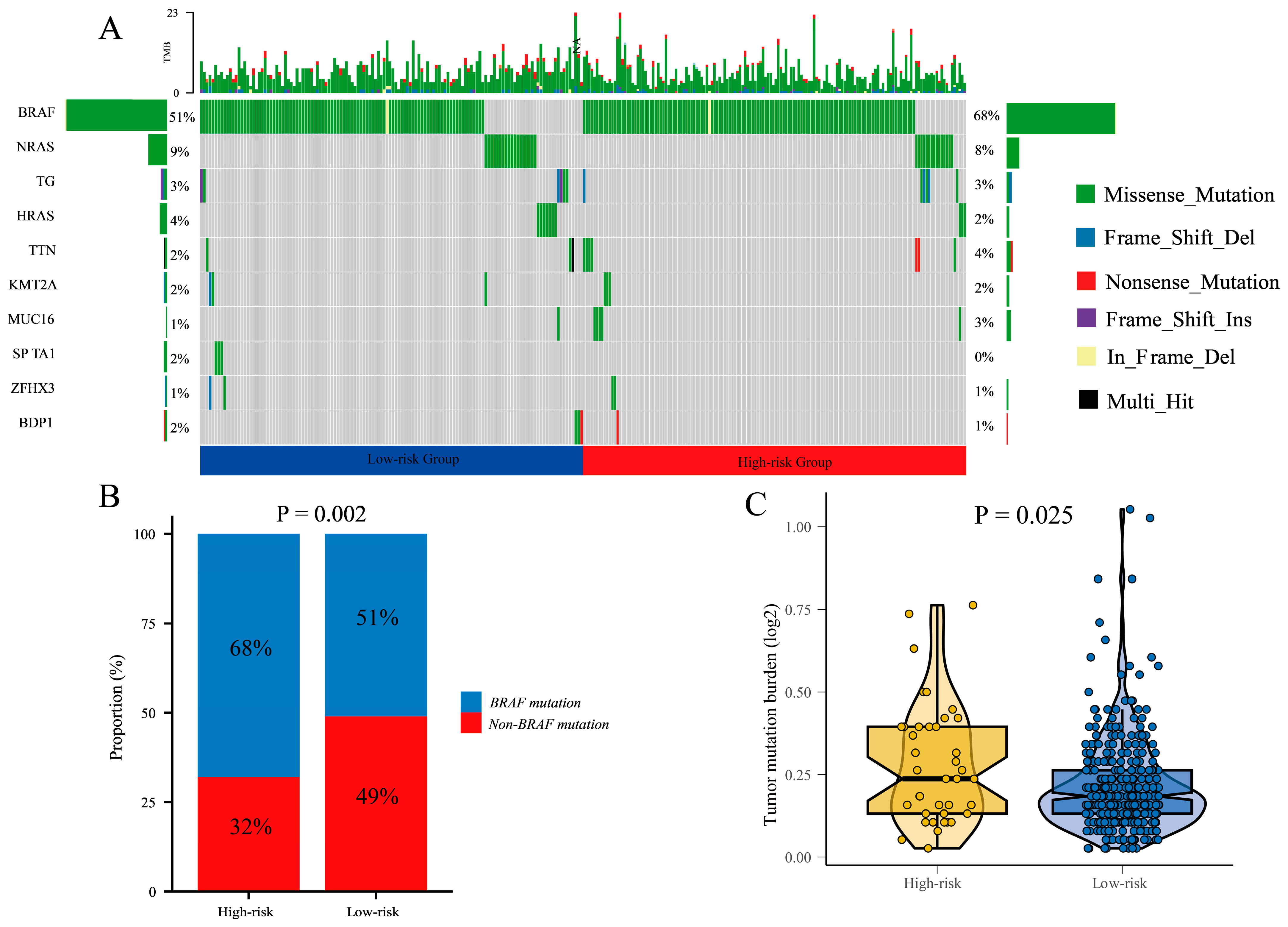 Cancers 17 02411 g008