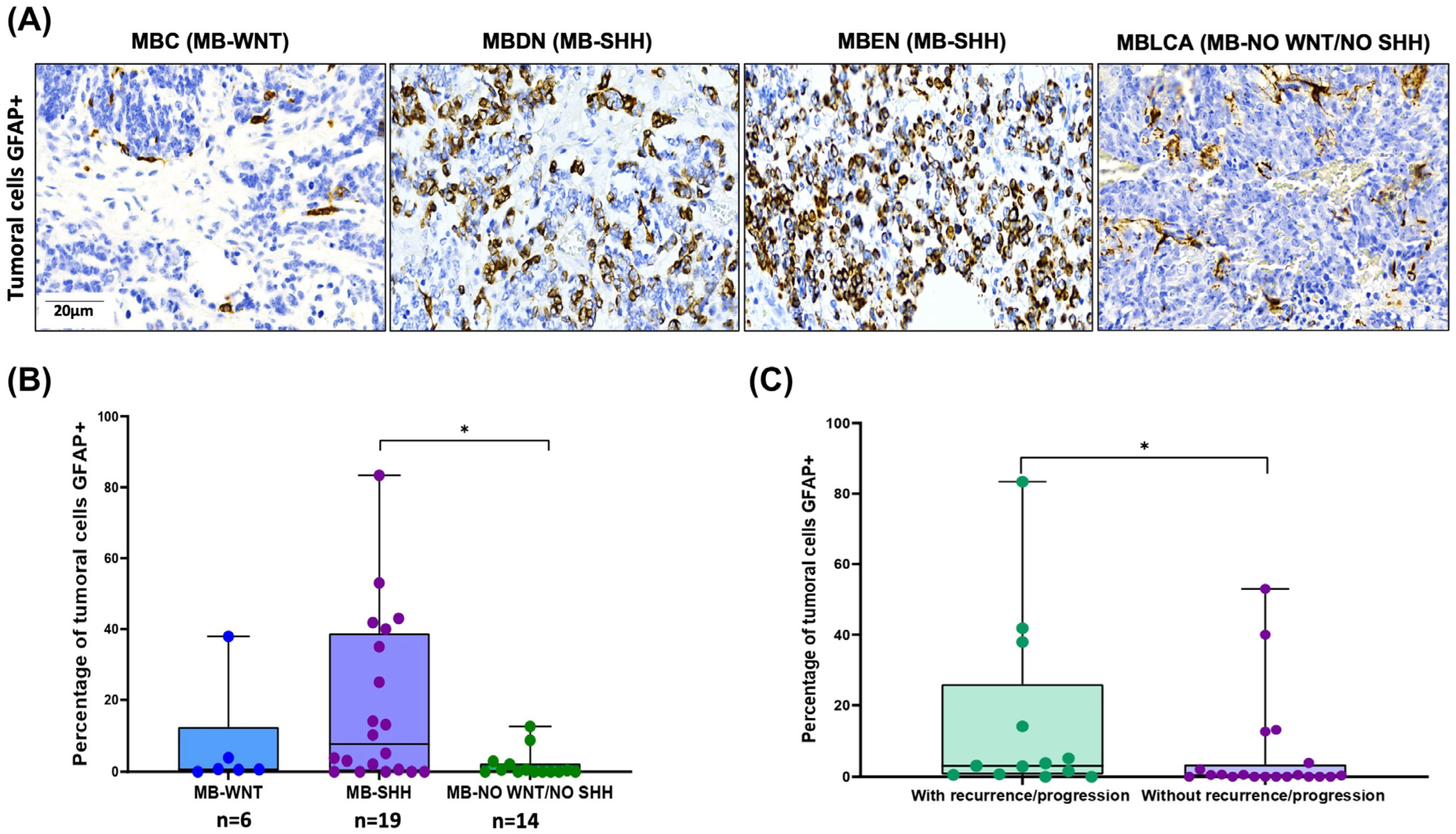 Cancers 17 02417 g006