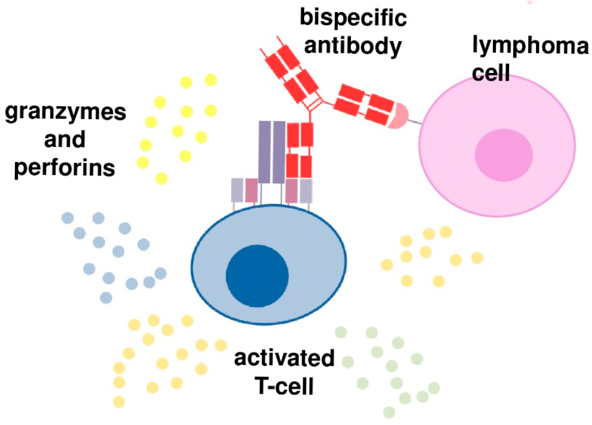 Cancers 17 02426 g001