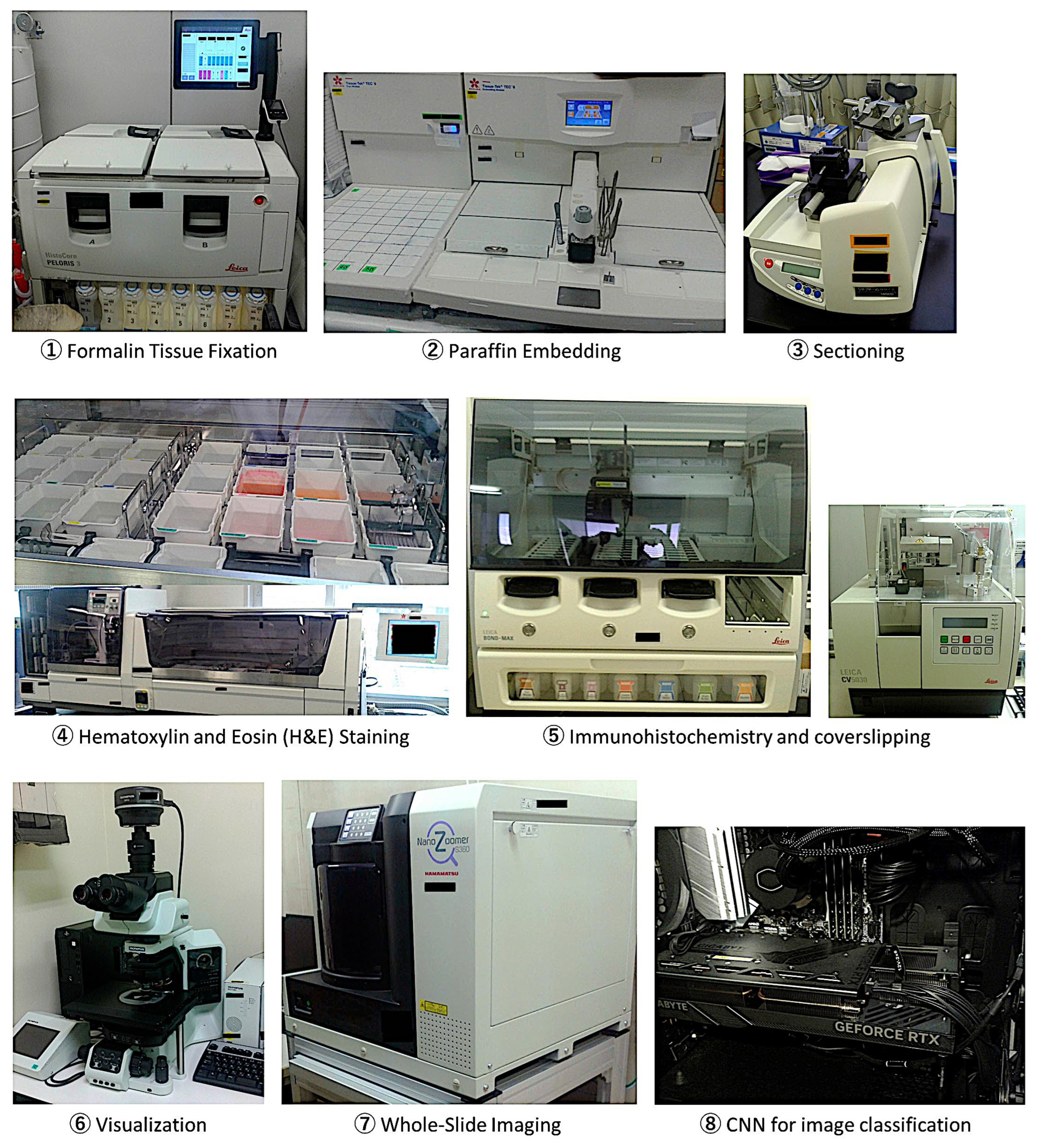 Cancers 17 02428 g003