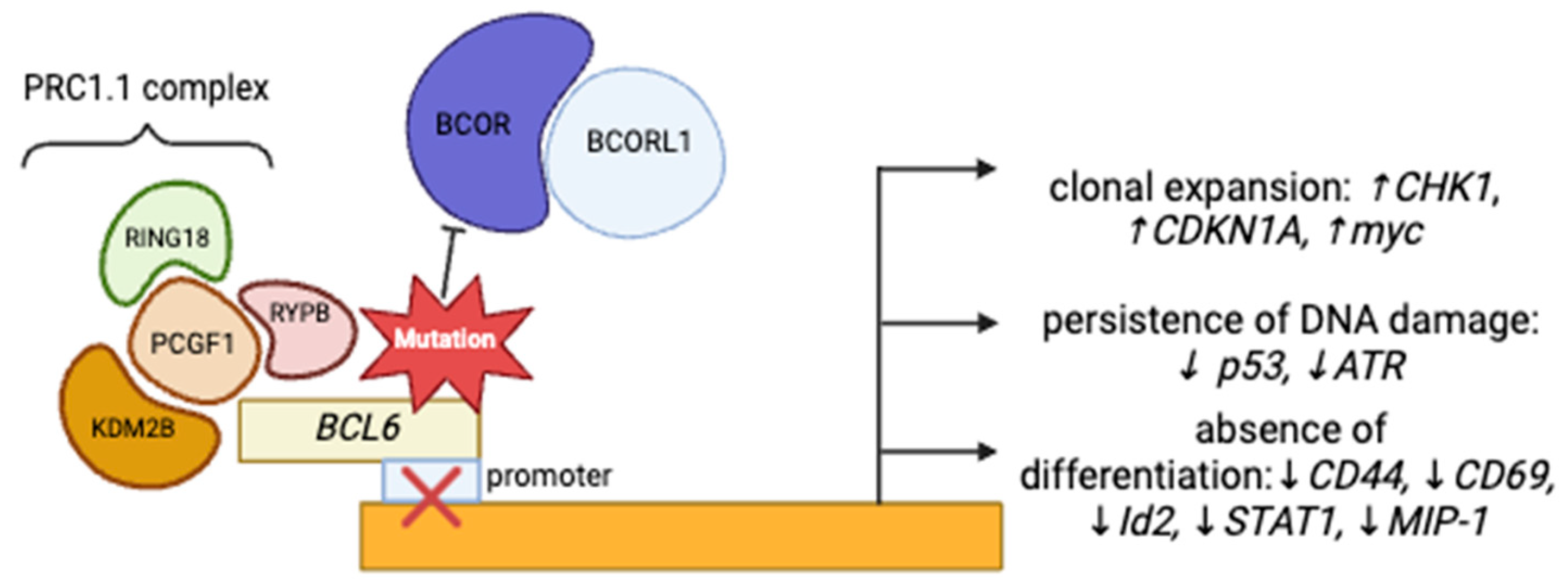 Cancers 17 02443 g001 Cancers 17 02443 g001