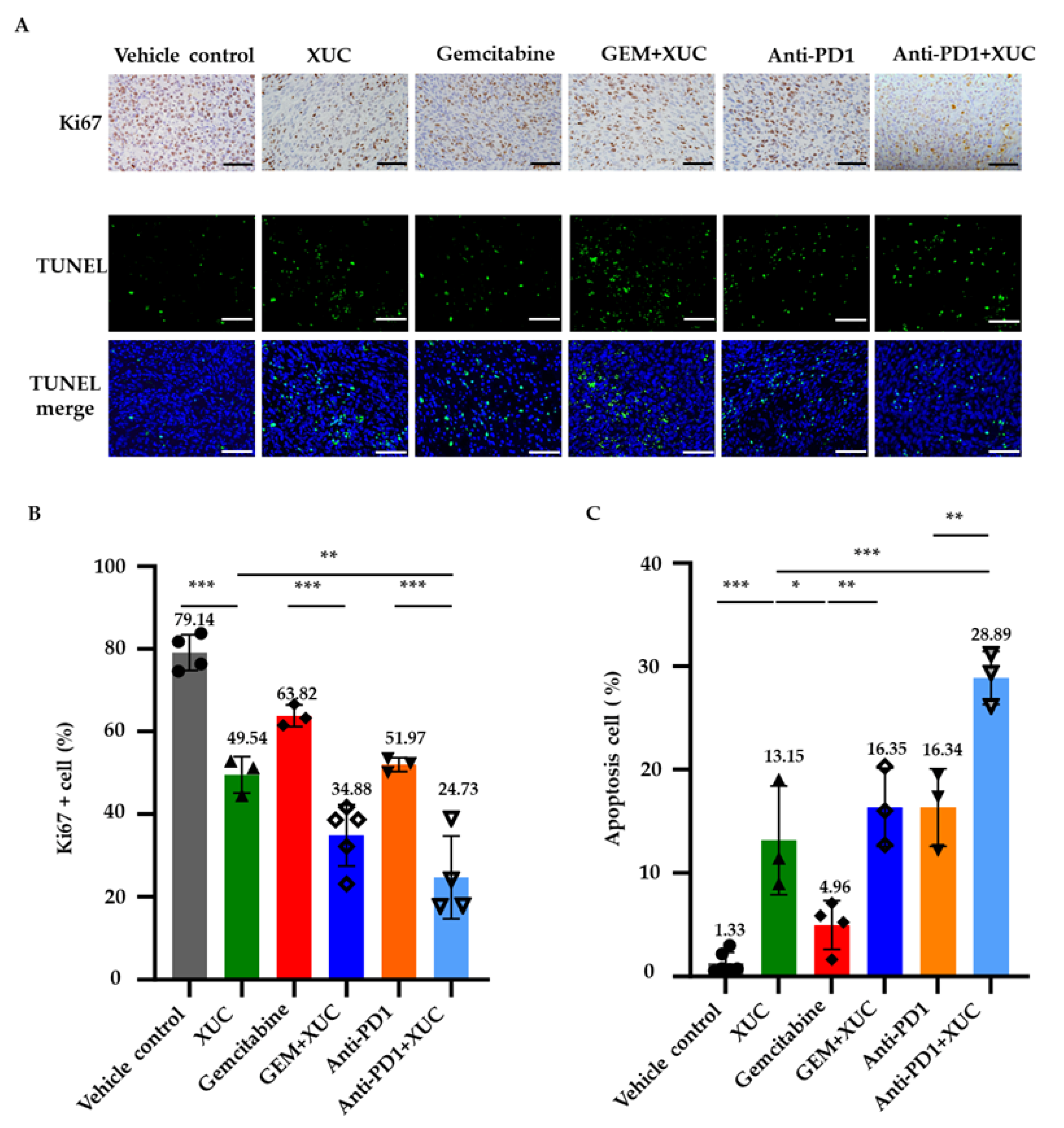 Cancers 17 02448 g002
