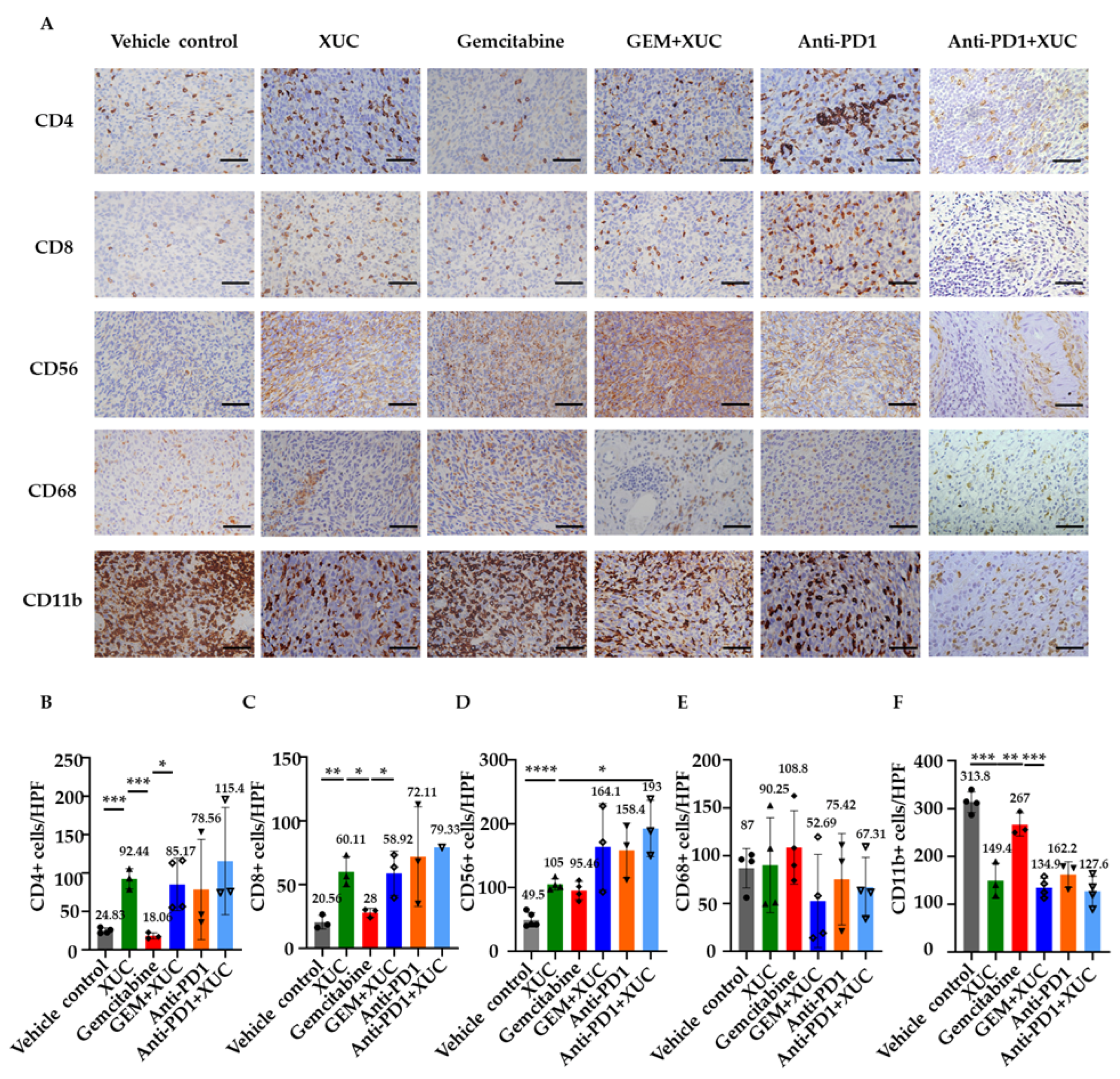 Cancers 17 02448 g004