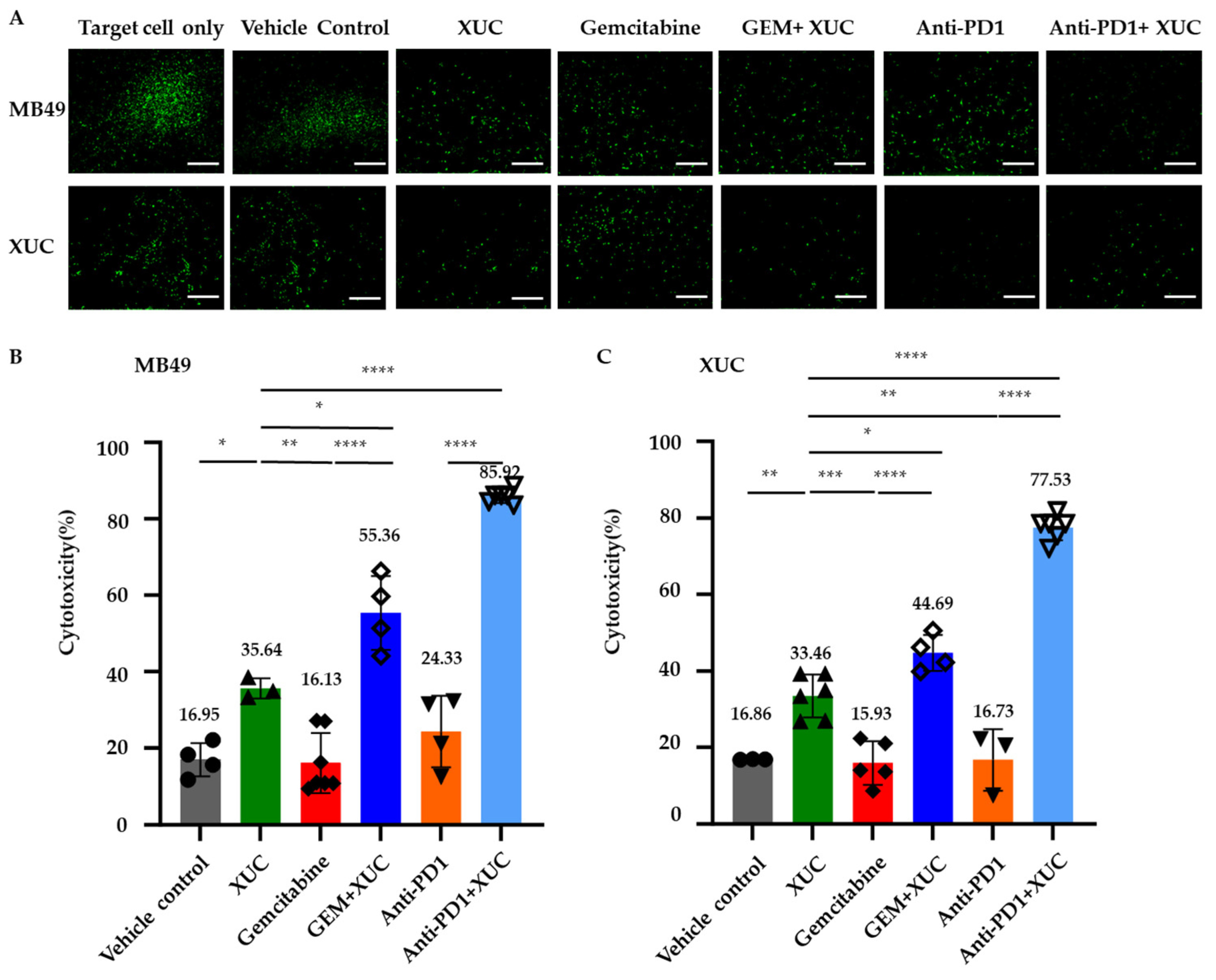 Cancers 17 02448 g005