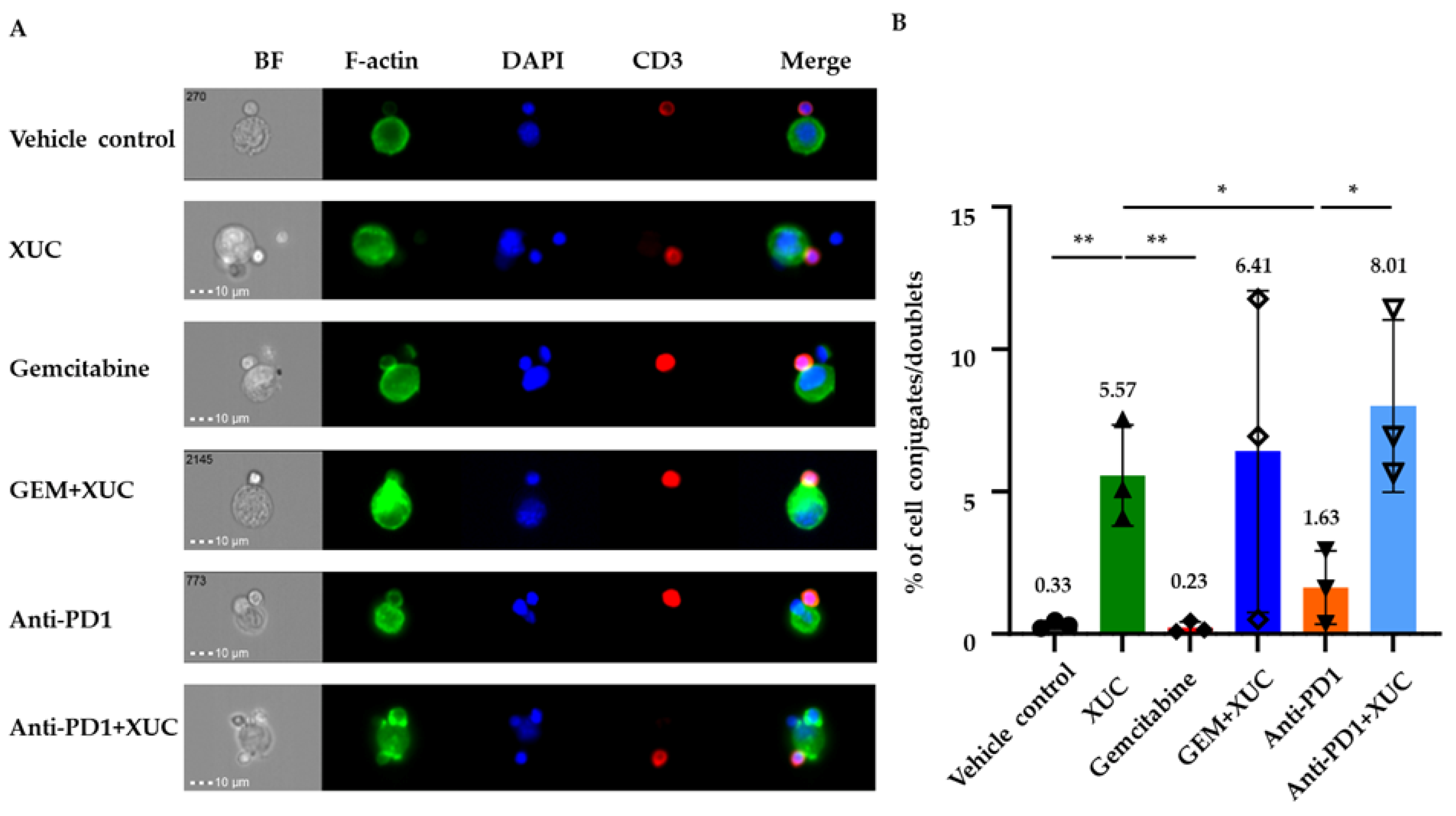 Cancers 17 02448 g007