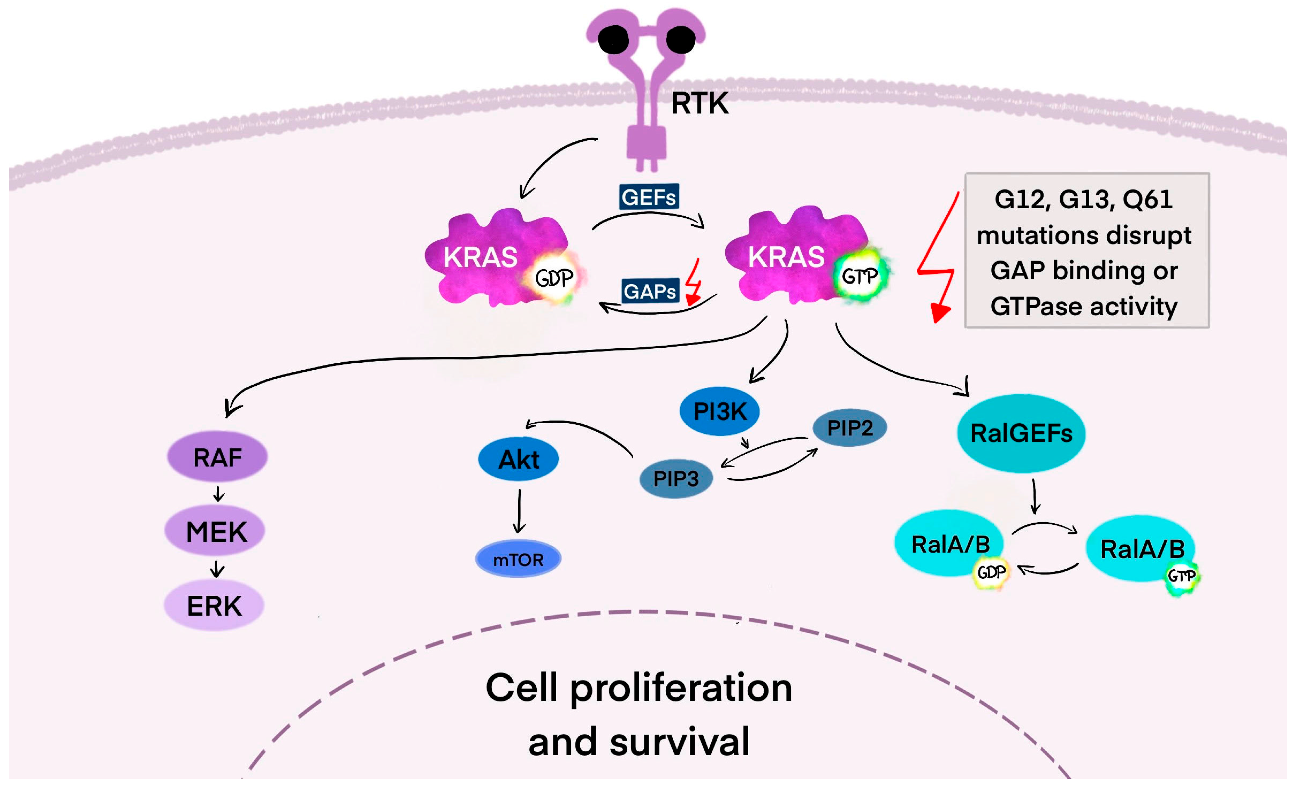 Cancers 17 02453 g001