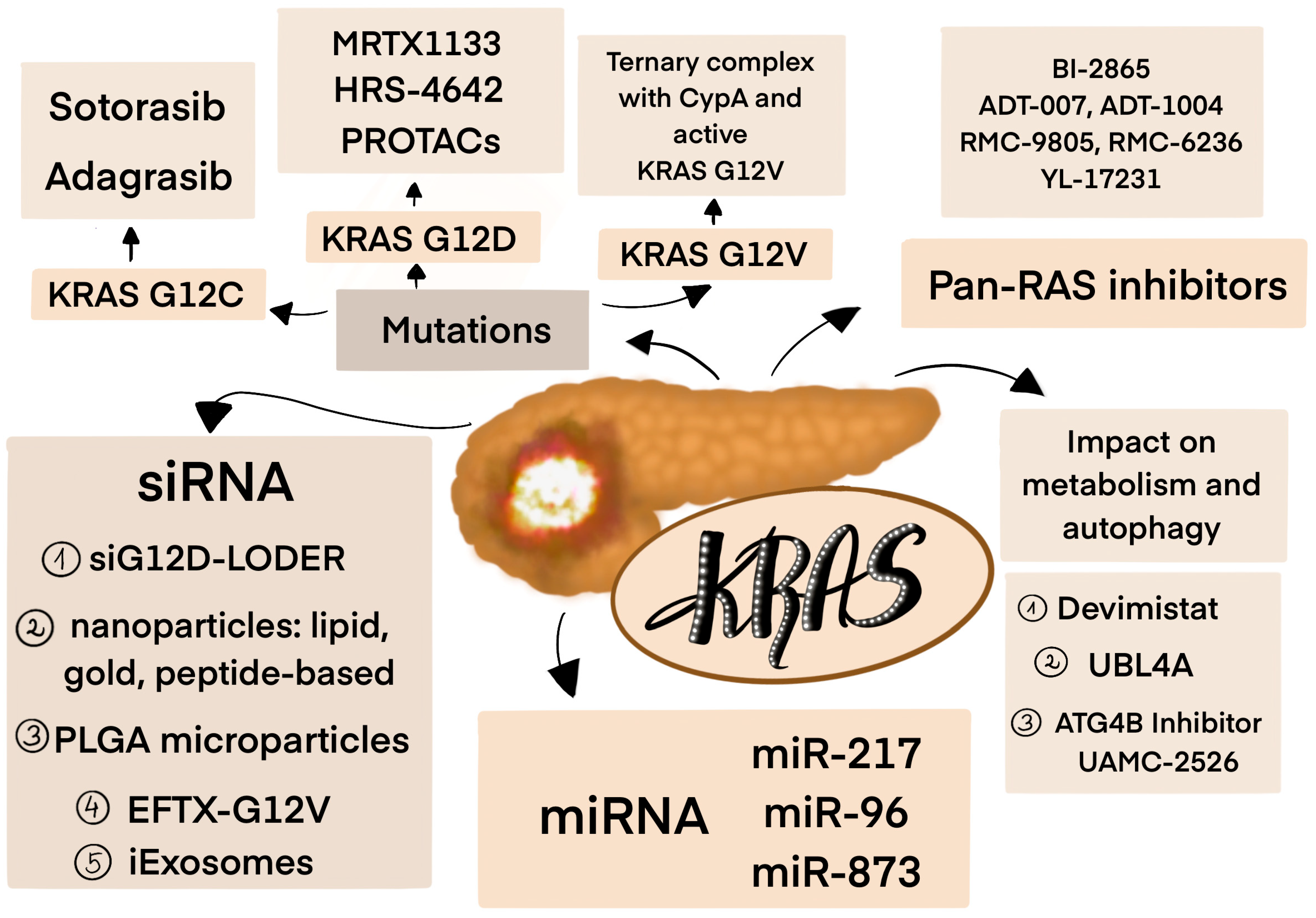 Cancers 17 02453 g004