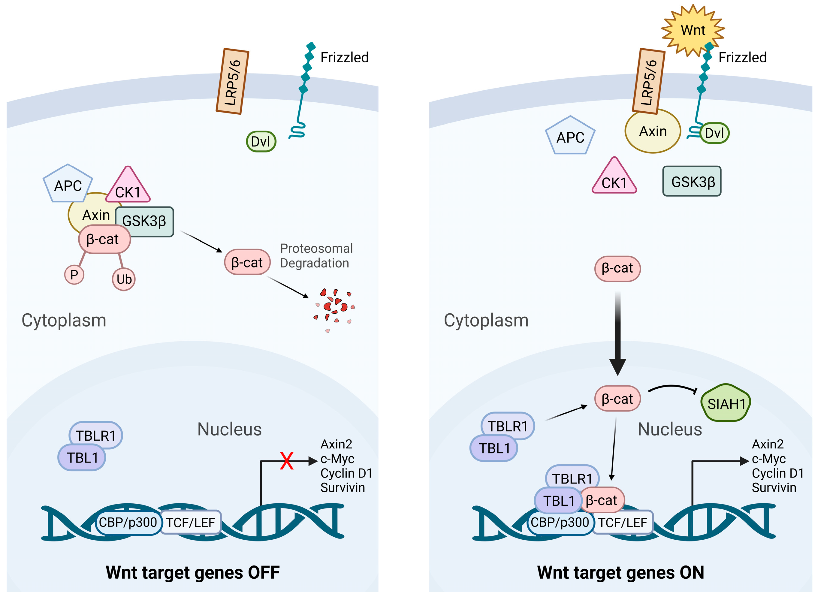 Cancers 17 02456 g001 Cancers 17 02456 g001