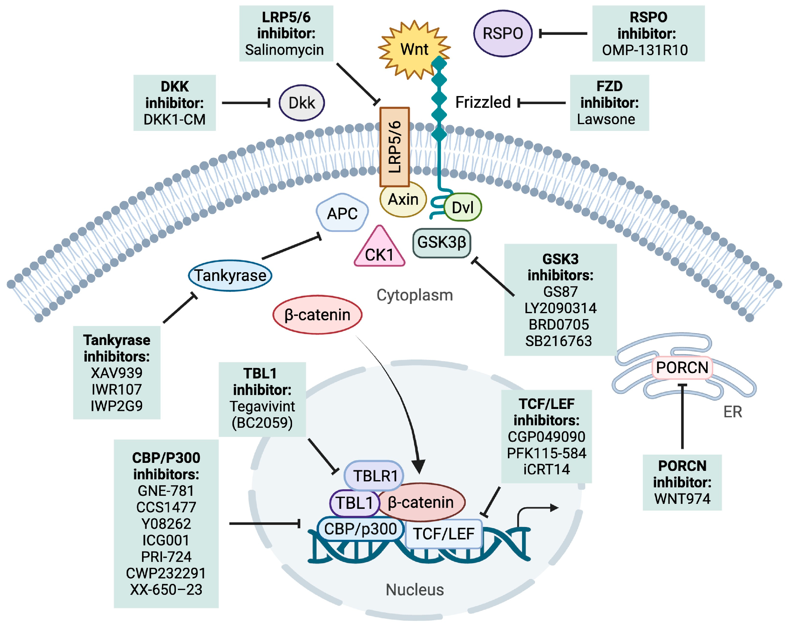 Cancers 17 02456 g003 Cancers 17 02456 g003