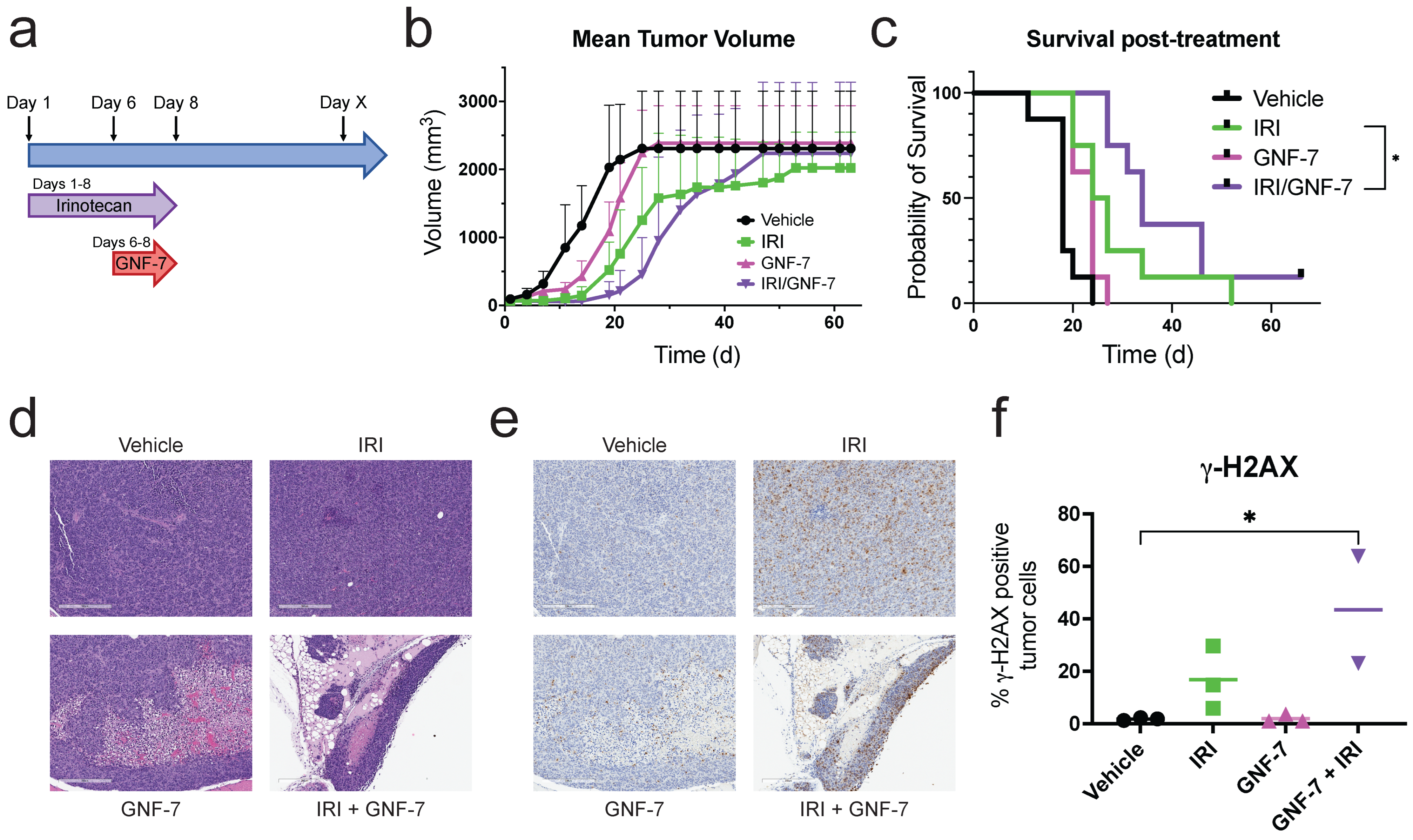 Cancers 17 02475 g006