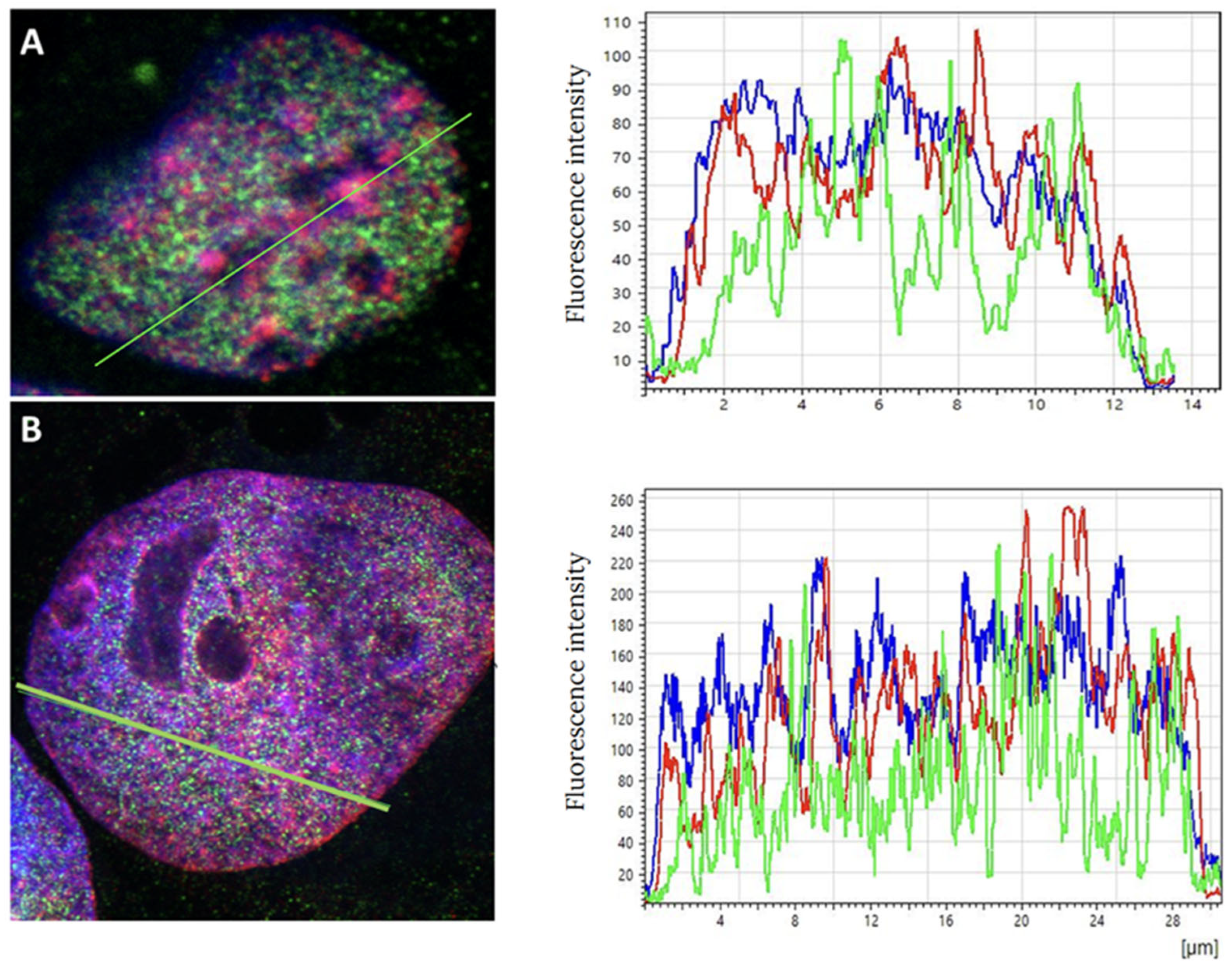Cancers 17 02480 g001