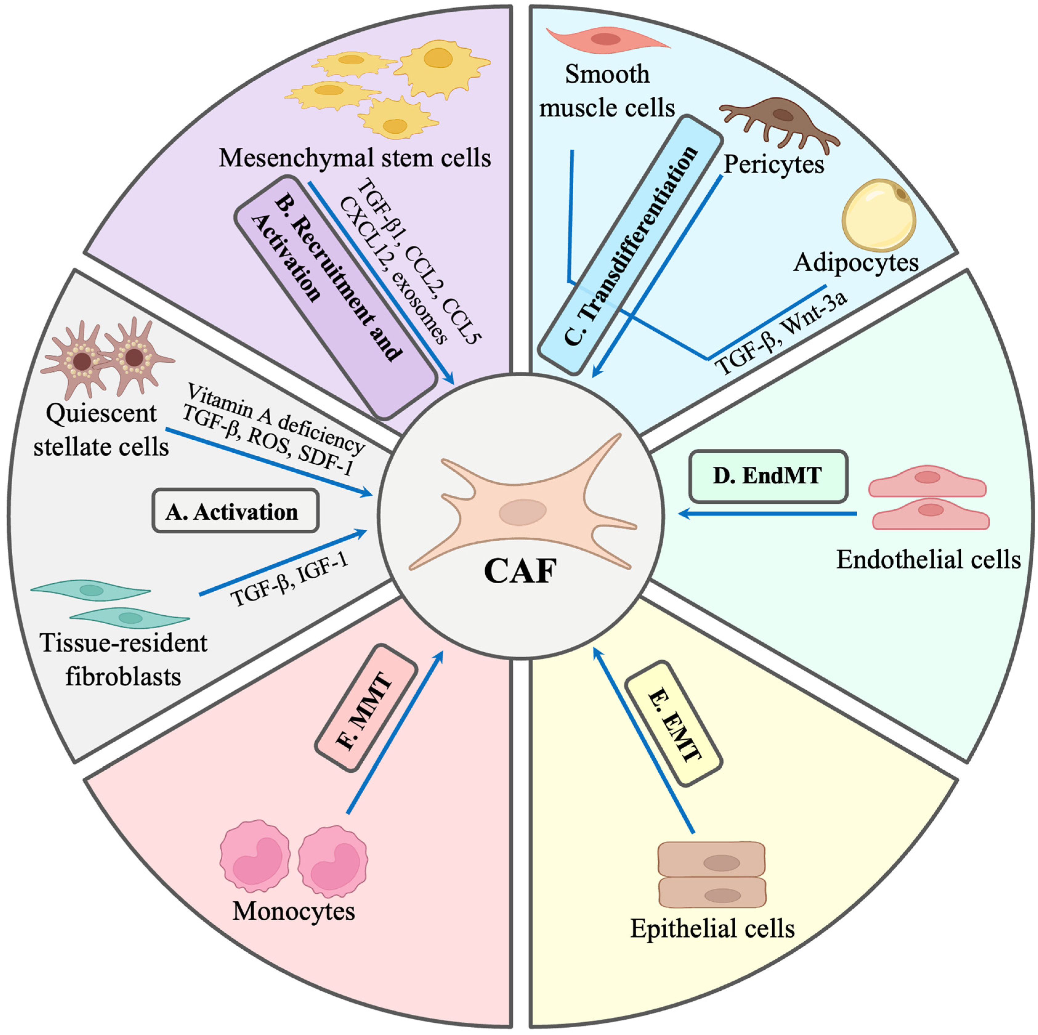 Cancers 17 02484 g001