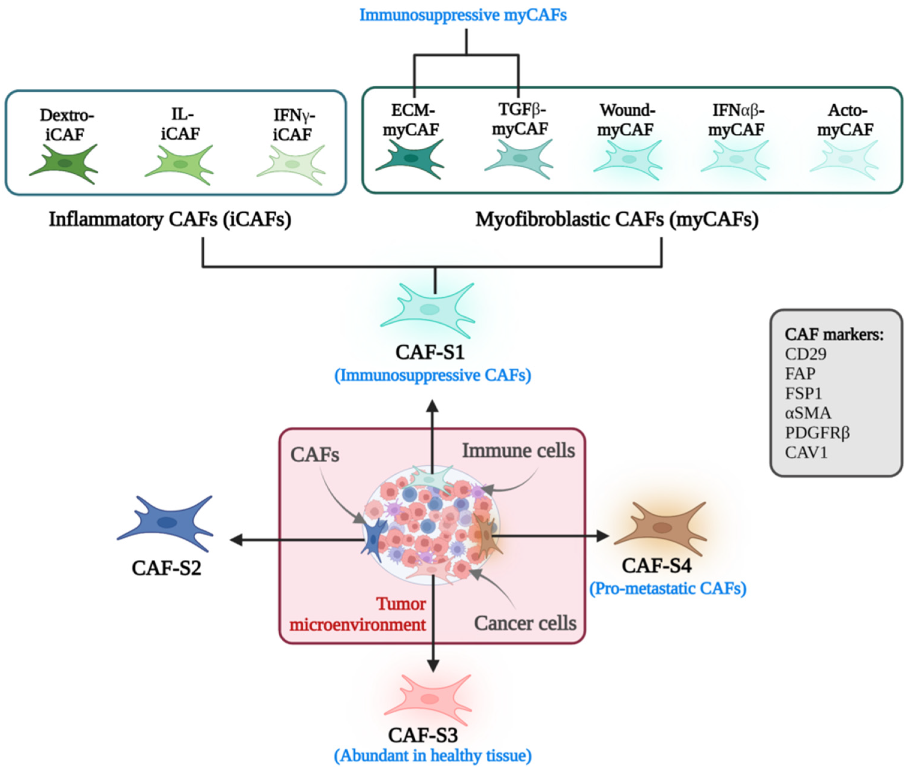 Cancers 17 02484 g002