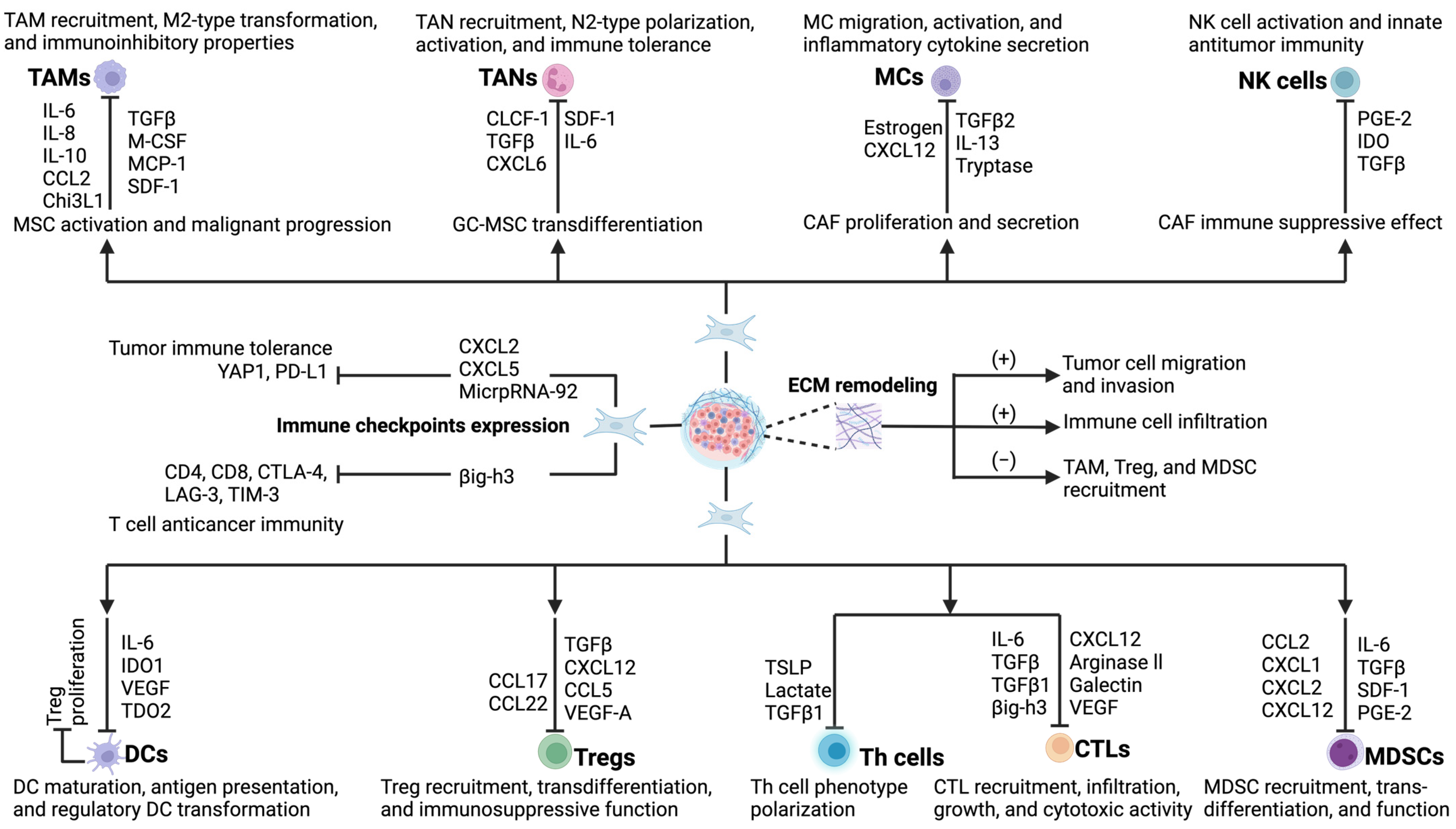 Cancers 17 02484 g003
