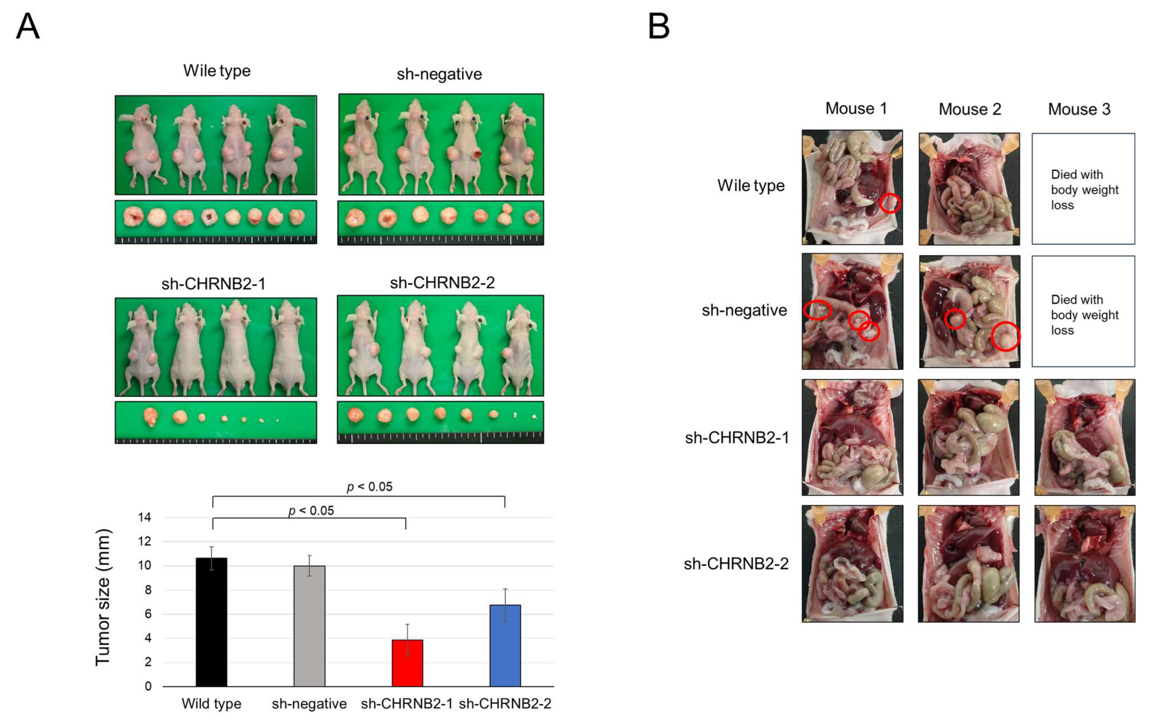 Cancers 17 02485 g003