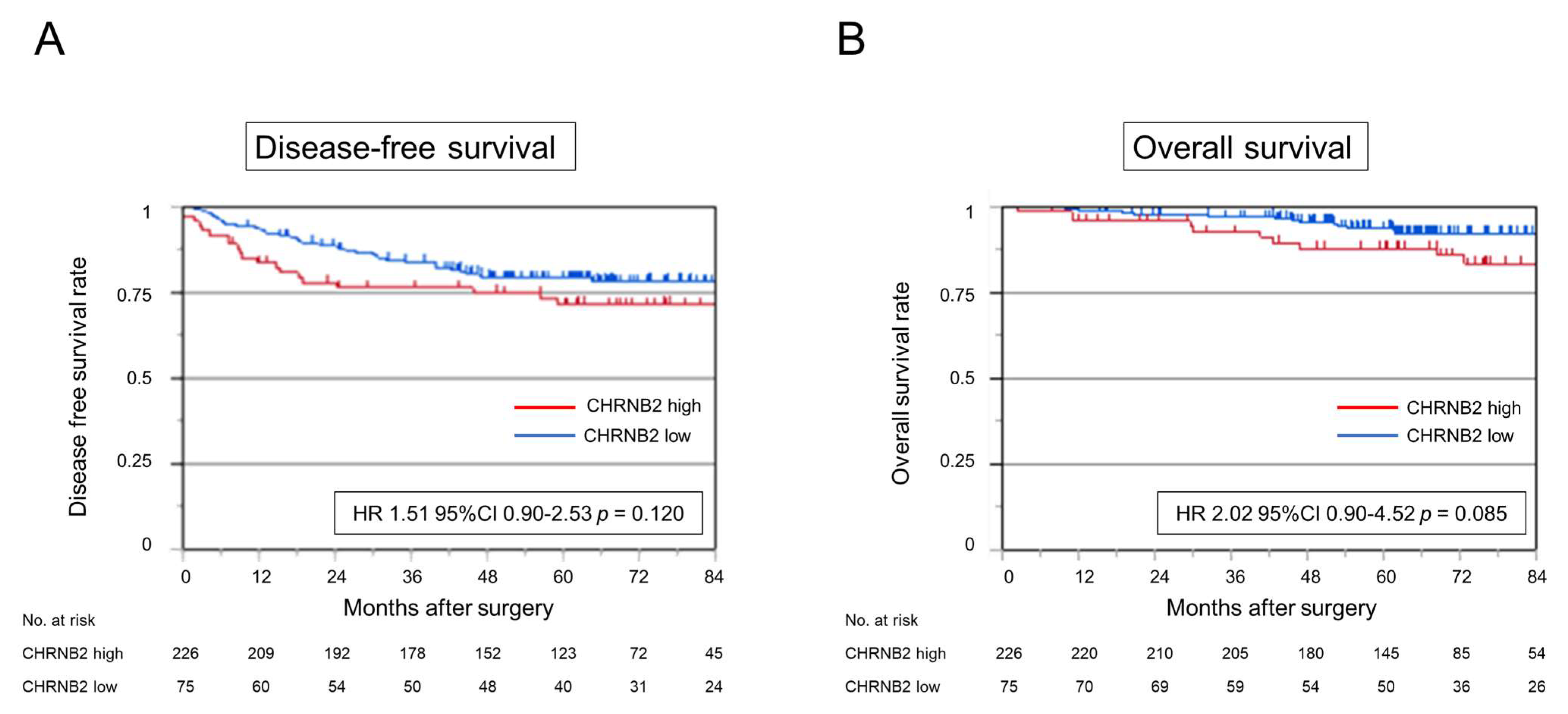 Cancers 17 02485 g004