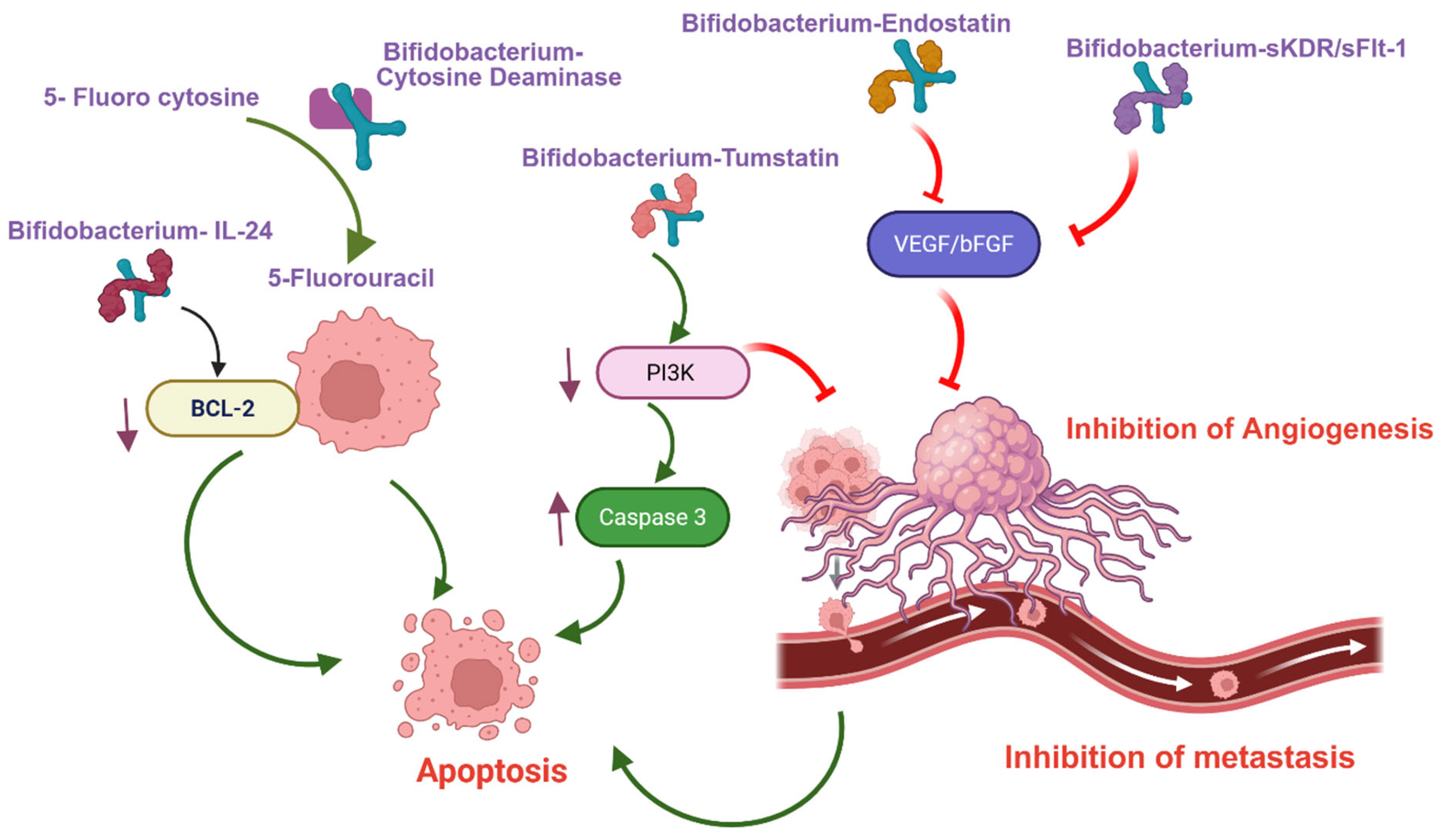 Cancers 17 02487 g001