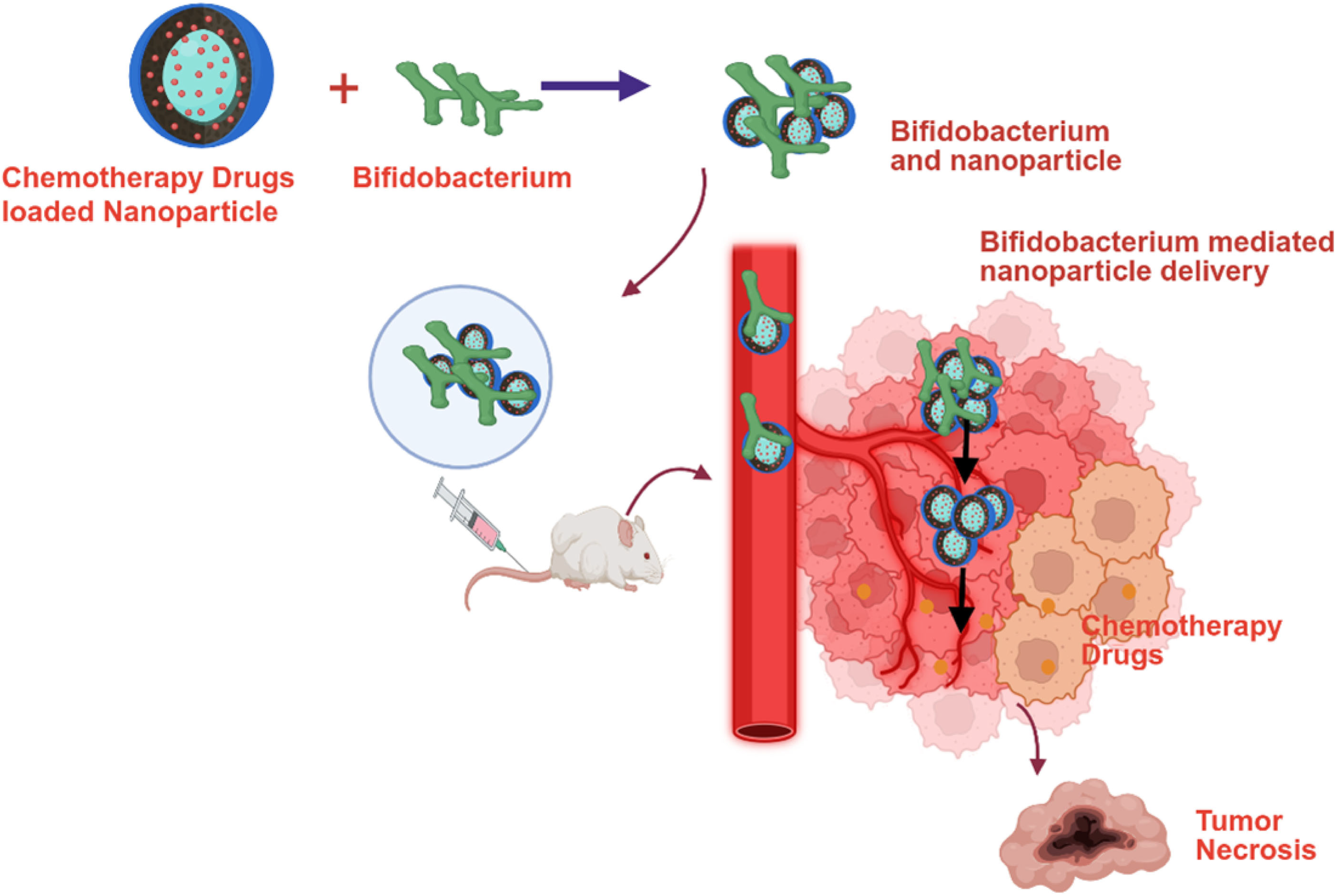 Cancers 17 02487 g002