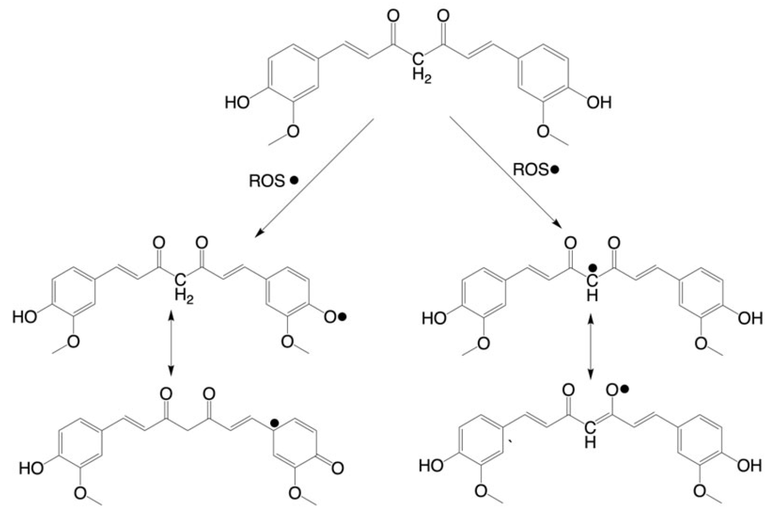 Cancers 17 02491 g001