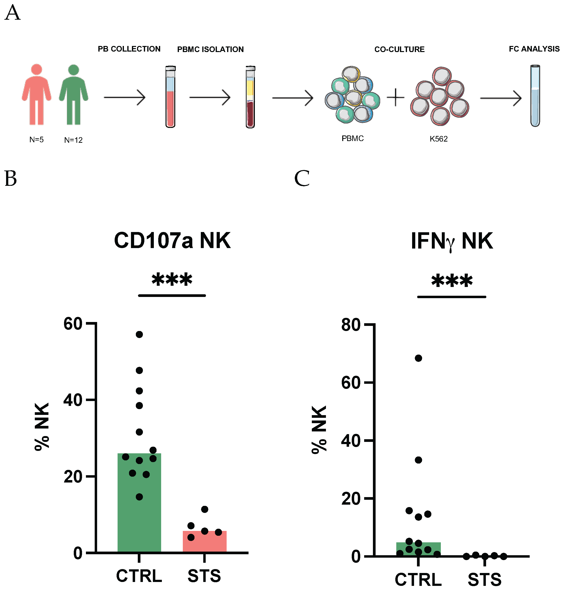 Cancers 17 02508 g001 Cancers 17 02508 g001