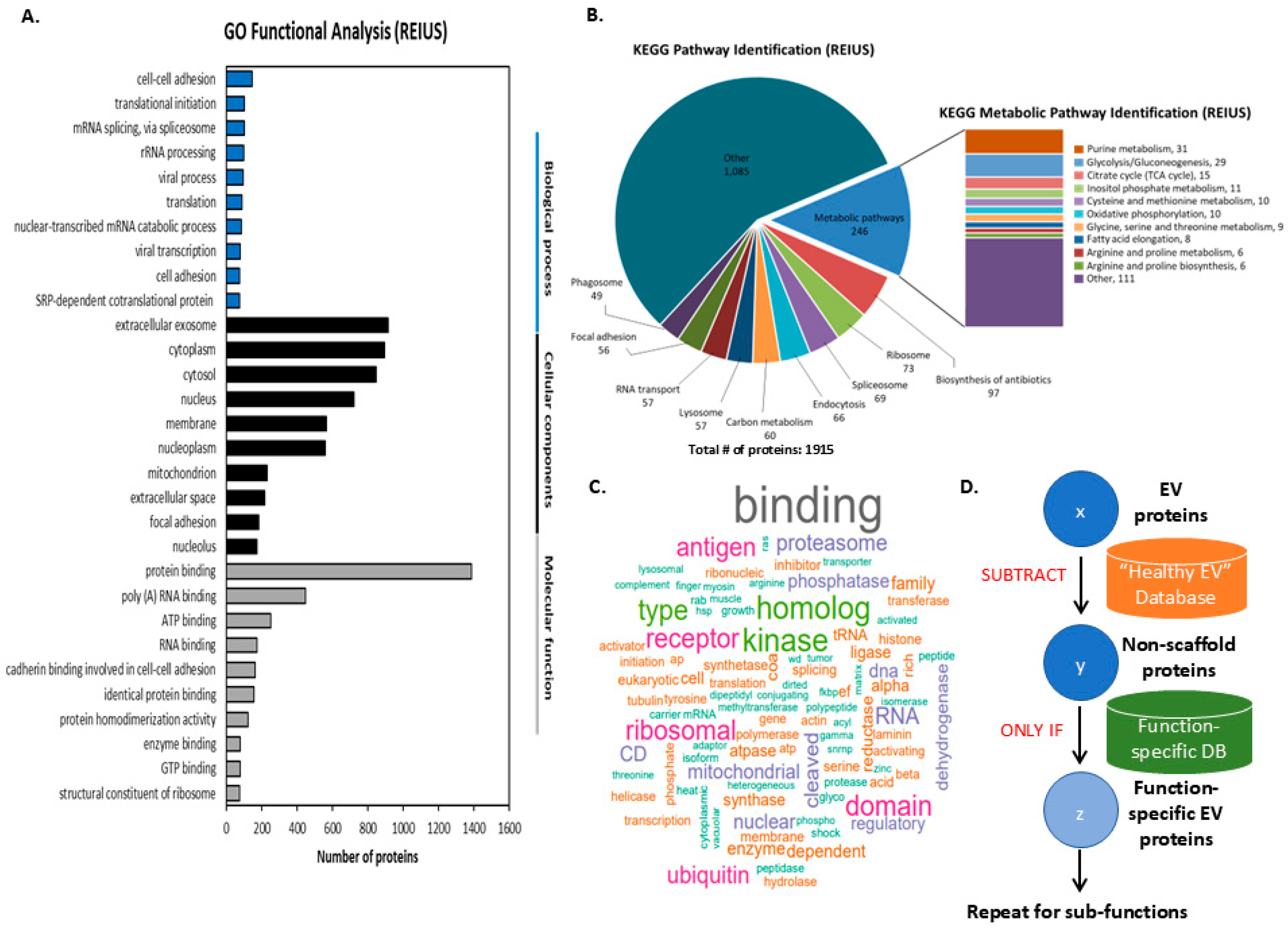 Cancers 17 02509 g002