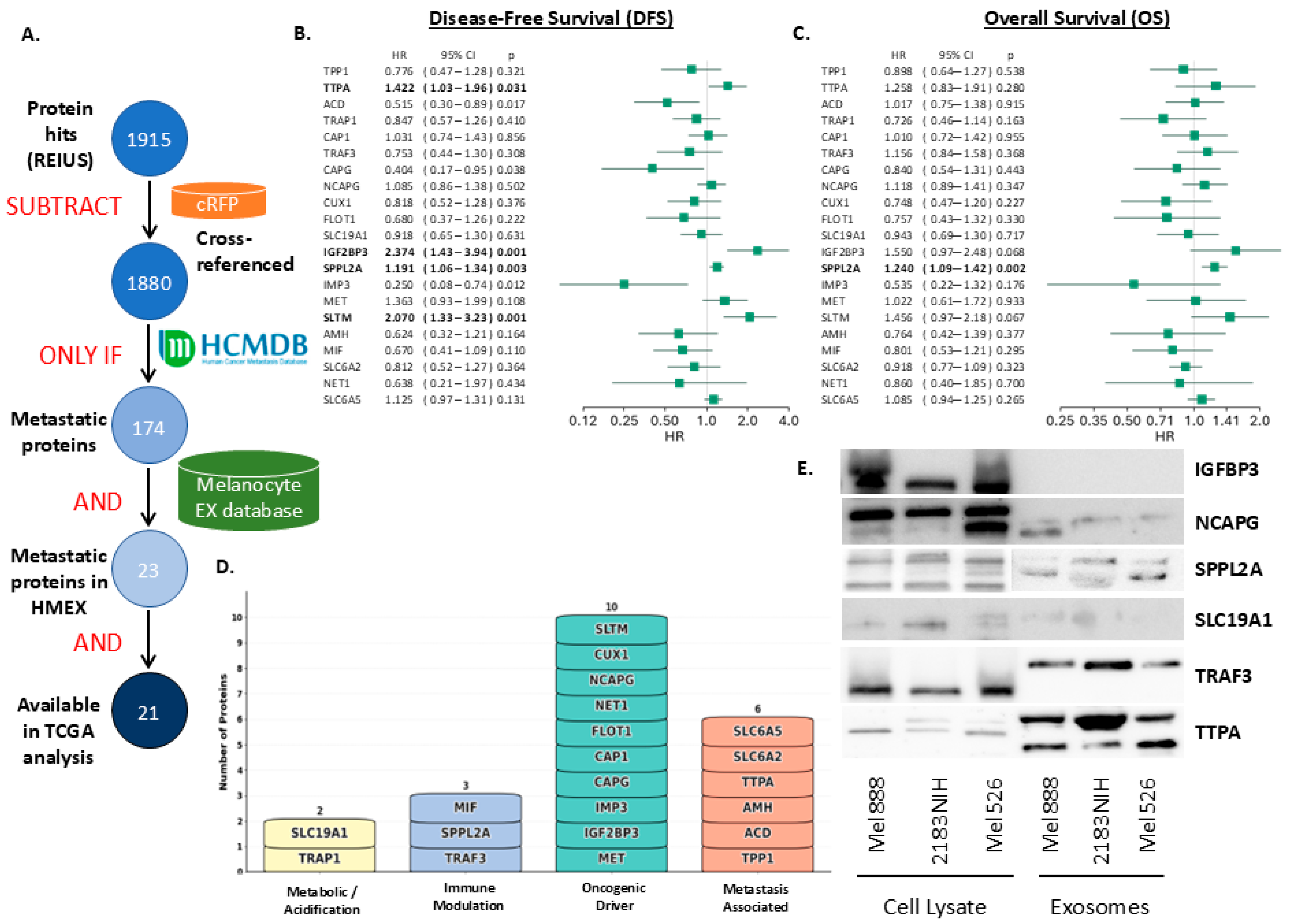 Cancers 17 02509 g003