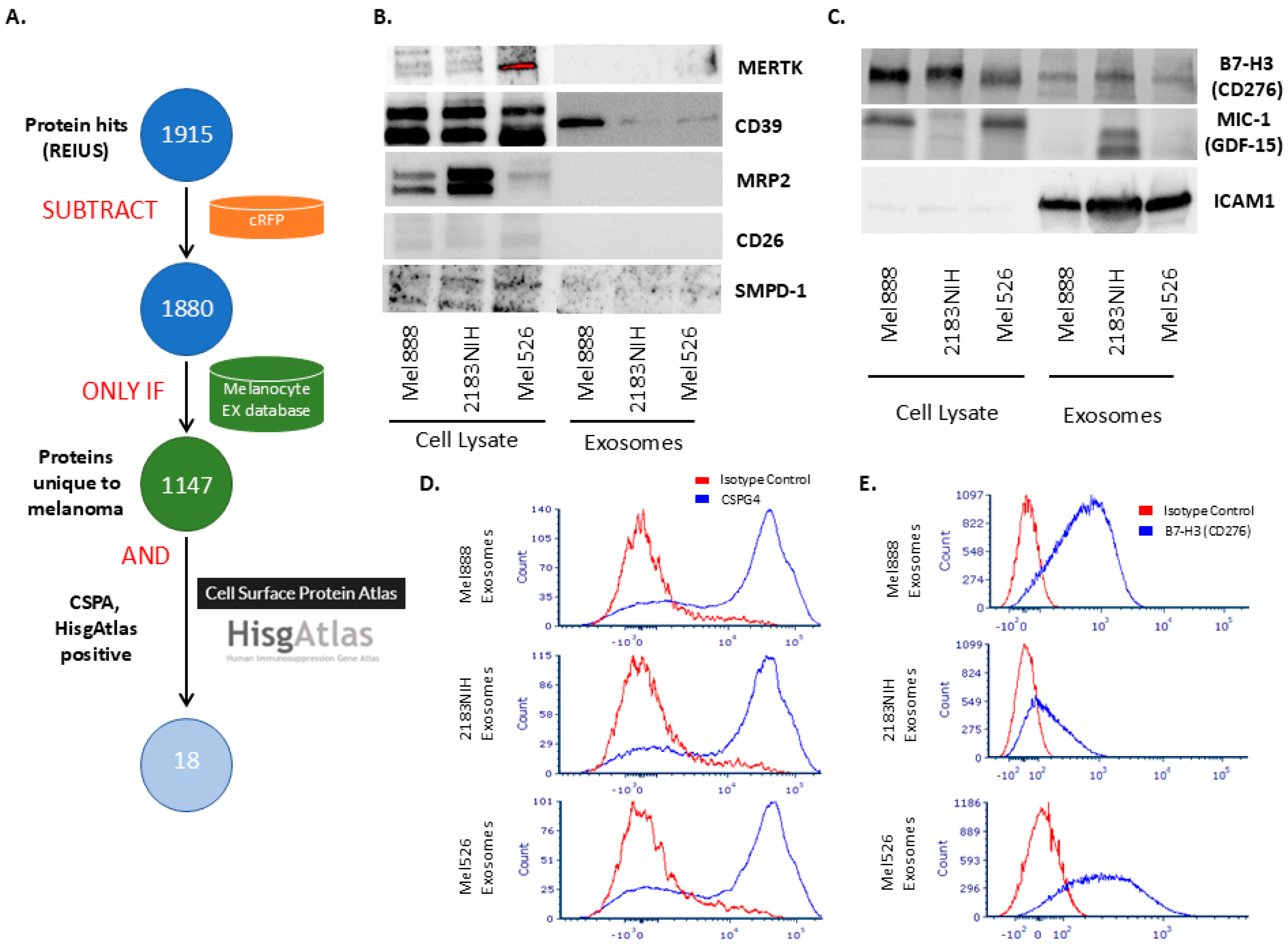 Cancers 17 02509 g004