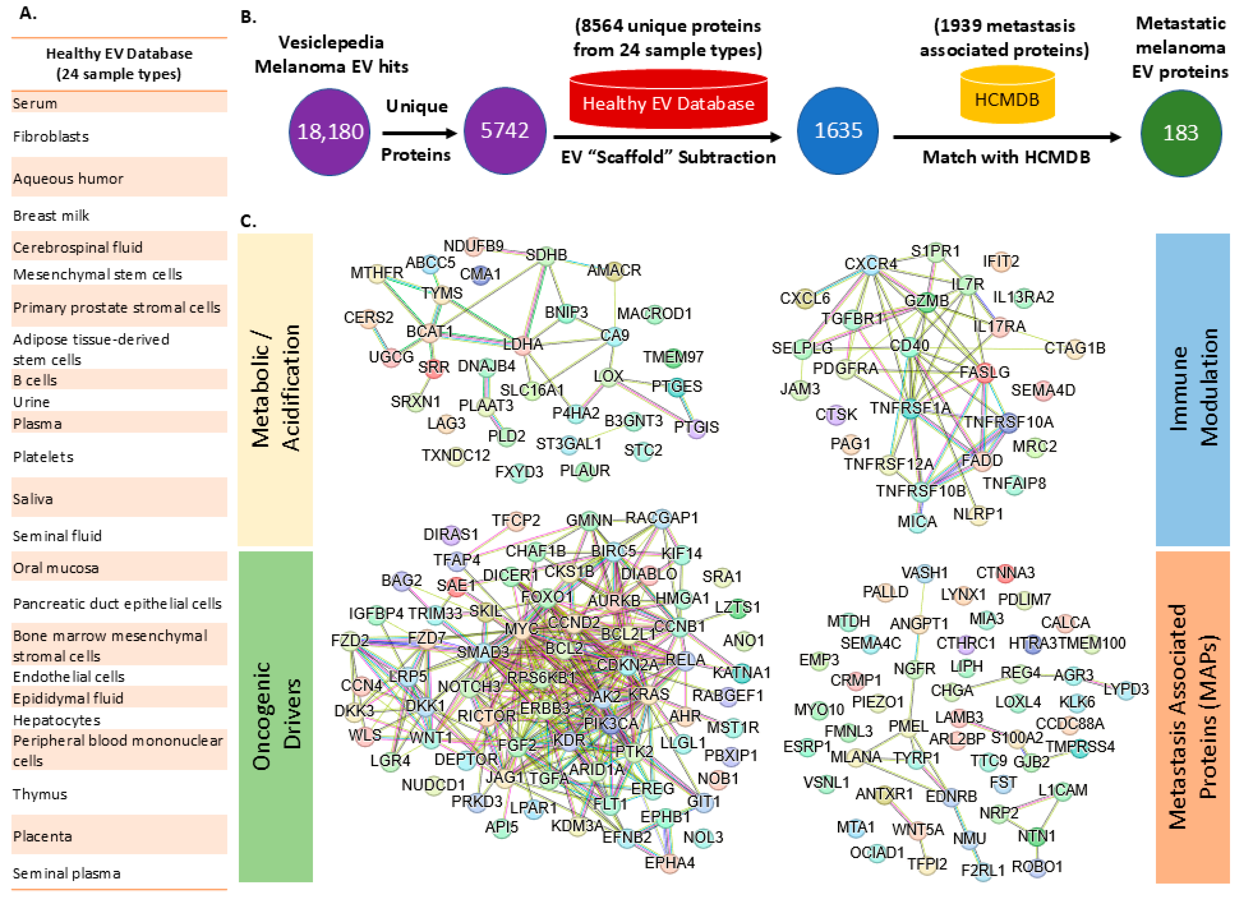 Cancers 17 02509 g005