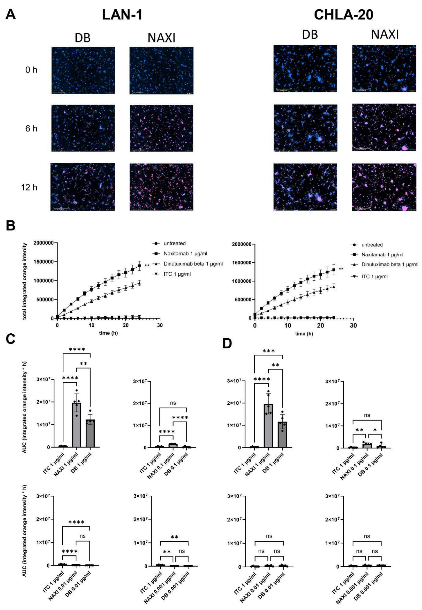 Cancers 17 02510 g006