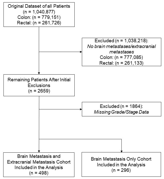 Cancers 17 02531 g001