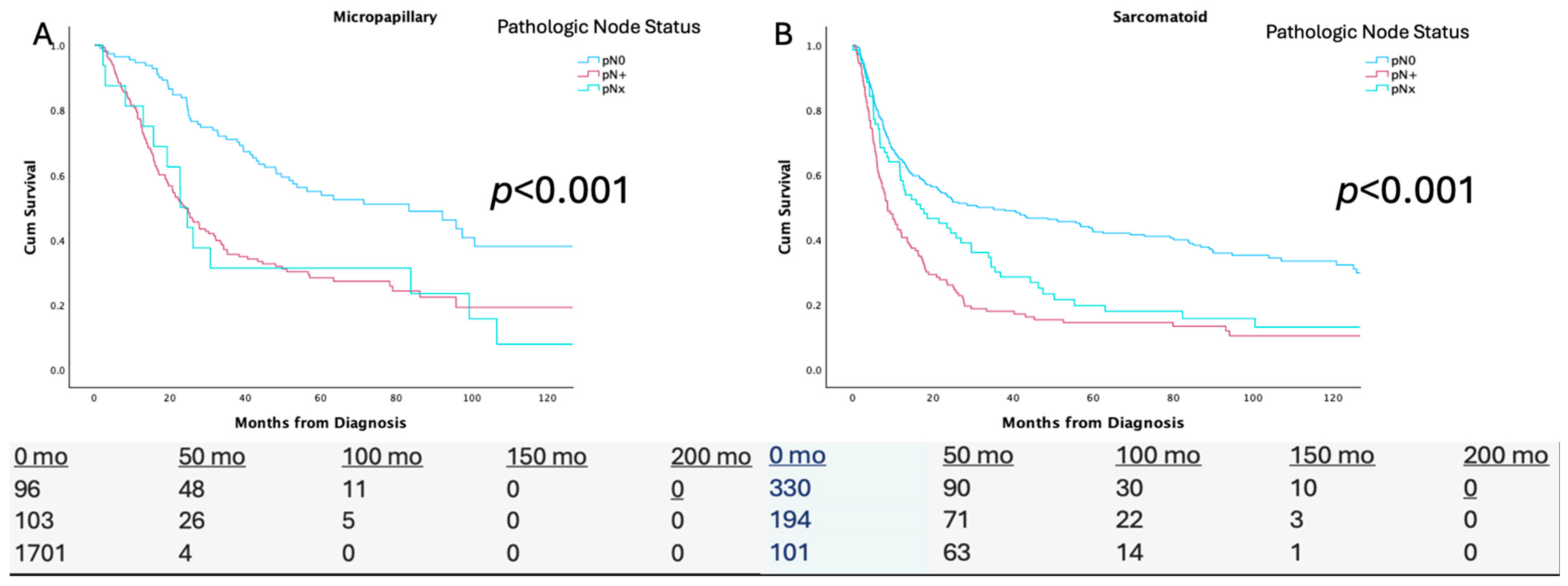 Cancers 17 02536 g001a