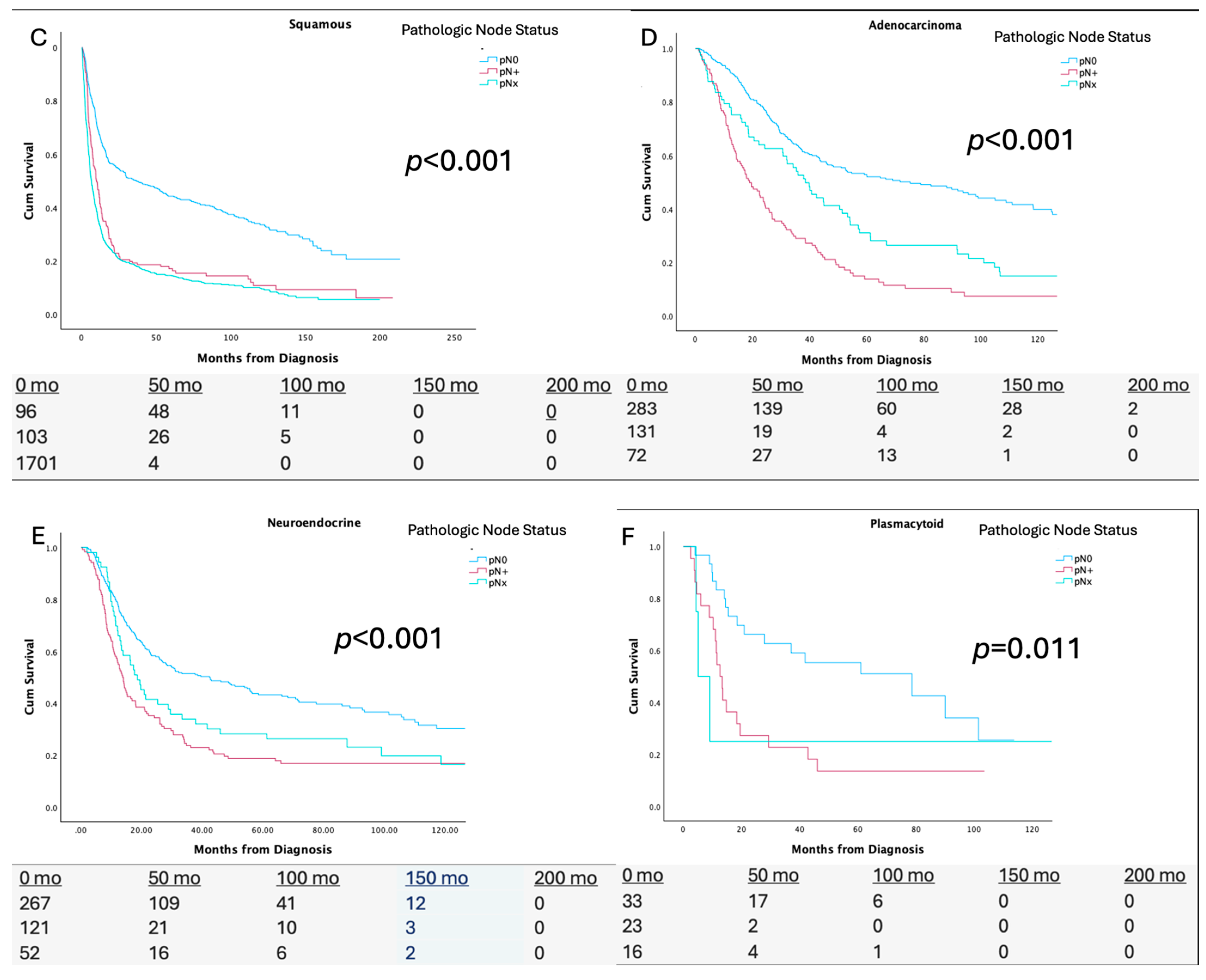 Cancers 17 02536 g001b