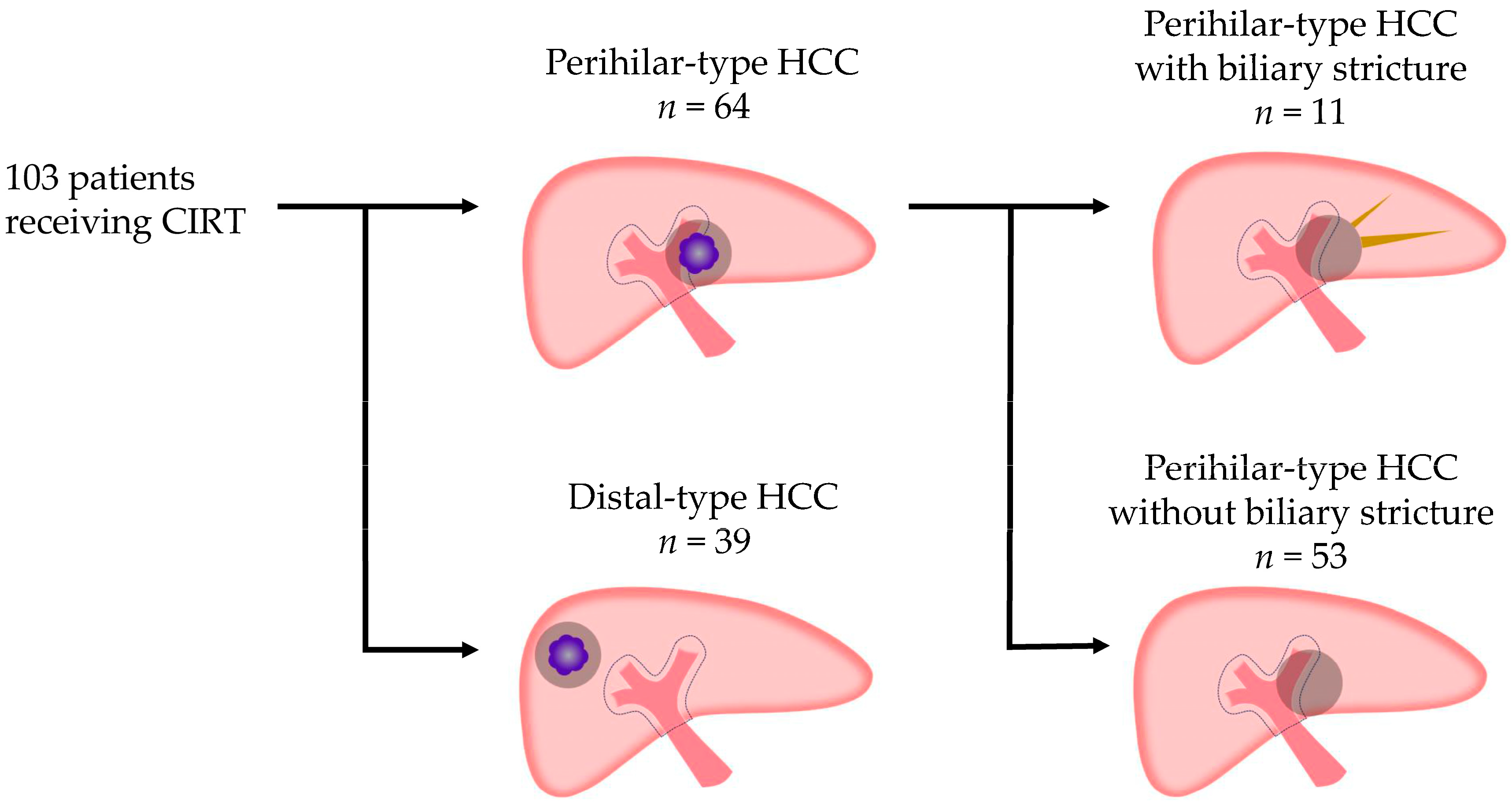 Cancers 17 02542 g003