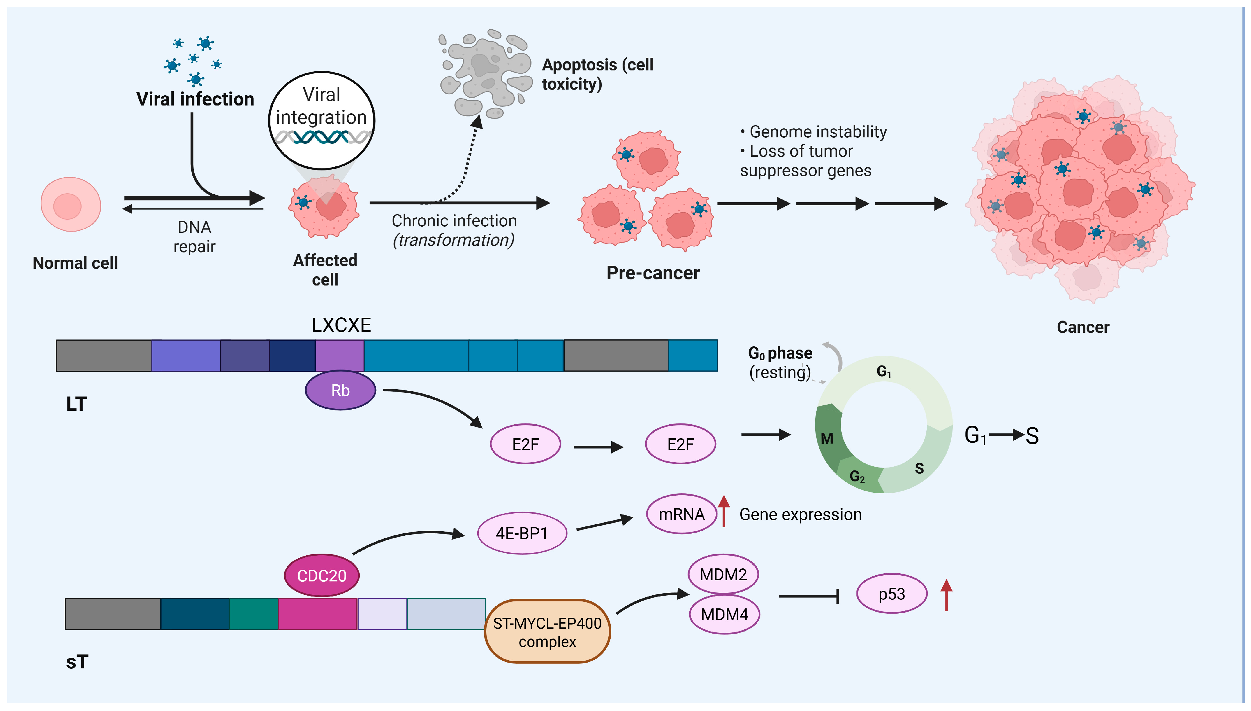 Cancers 17 02547 g001