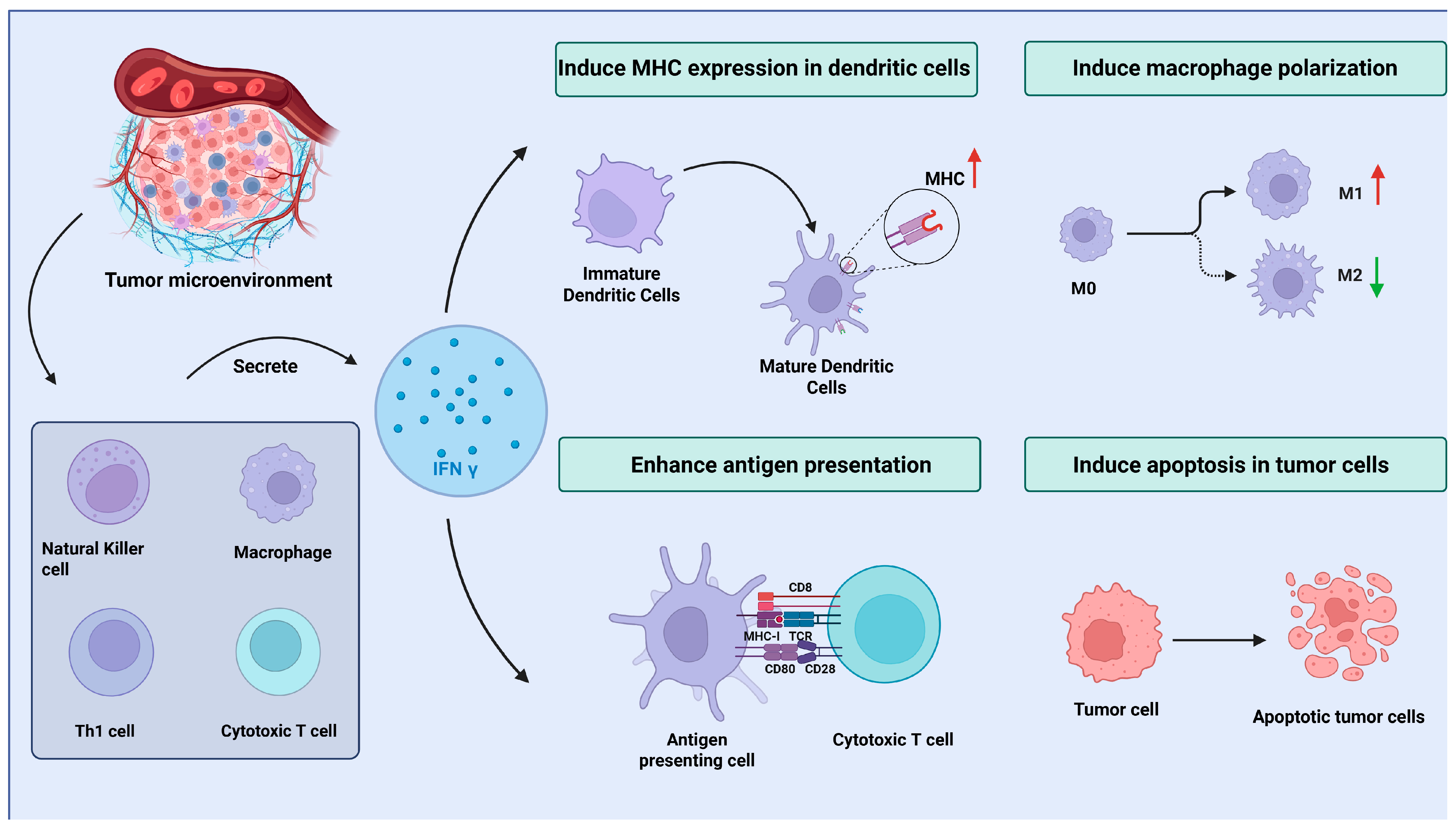 Cancers 17 02547 g002