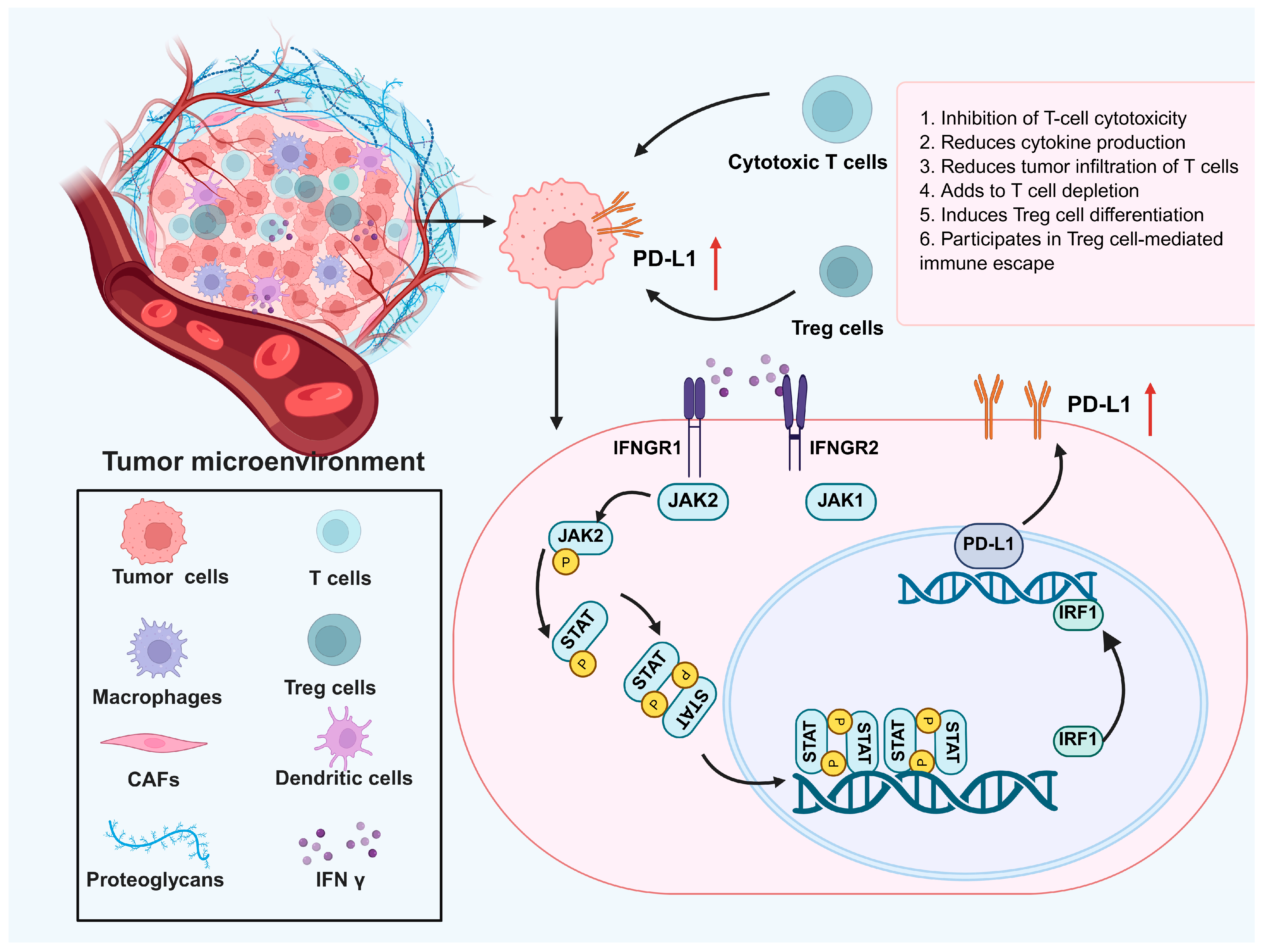 Cancers 17 02547 g004
