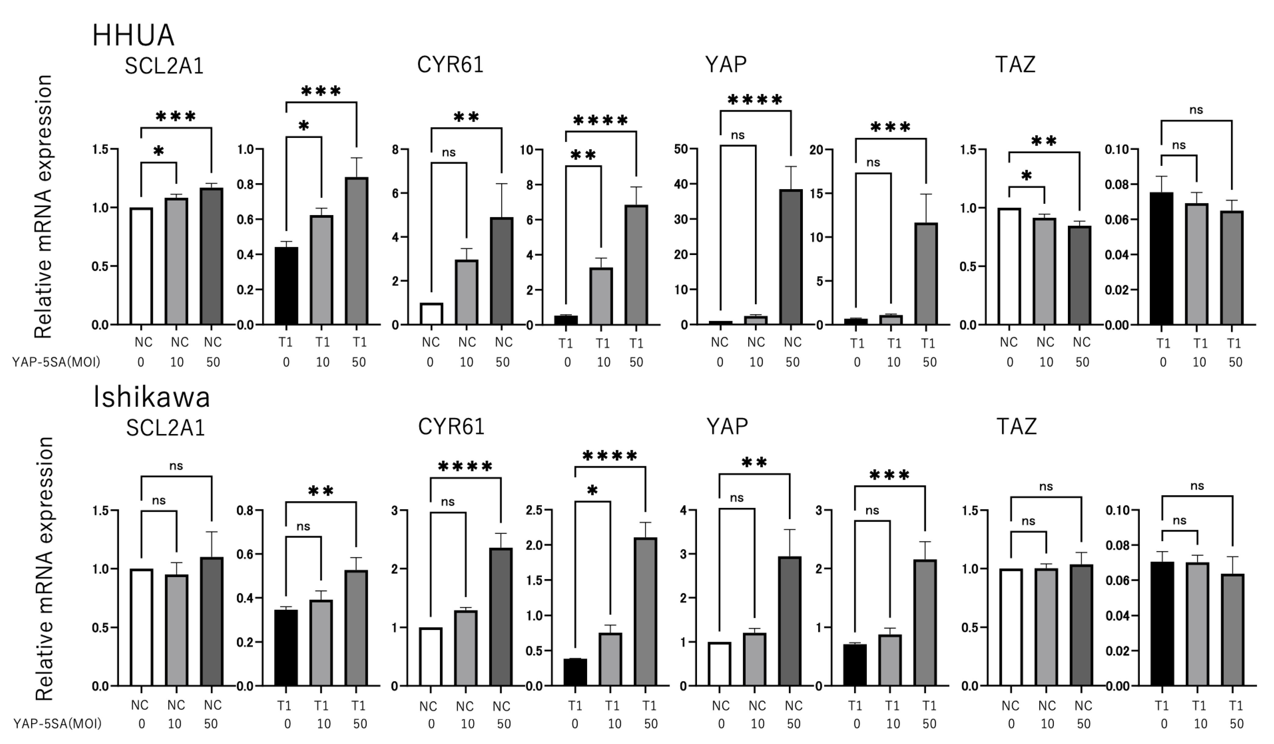 Cancers 17 02554 g003