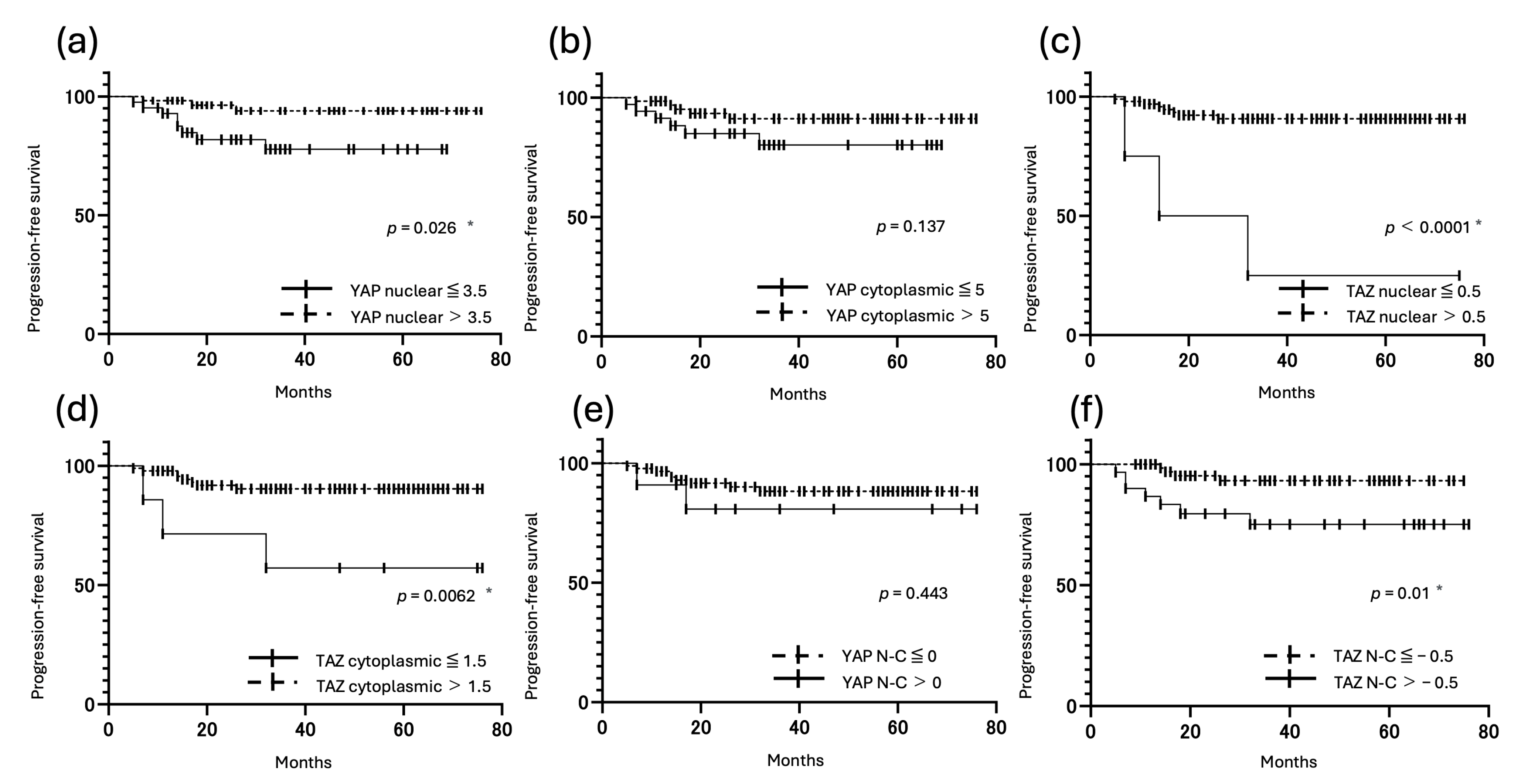Cancers 17 02554 g007