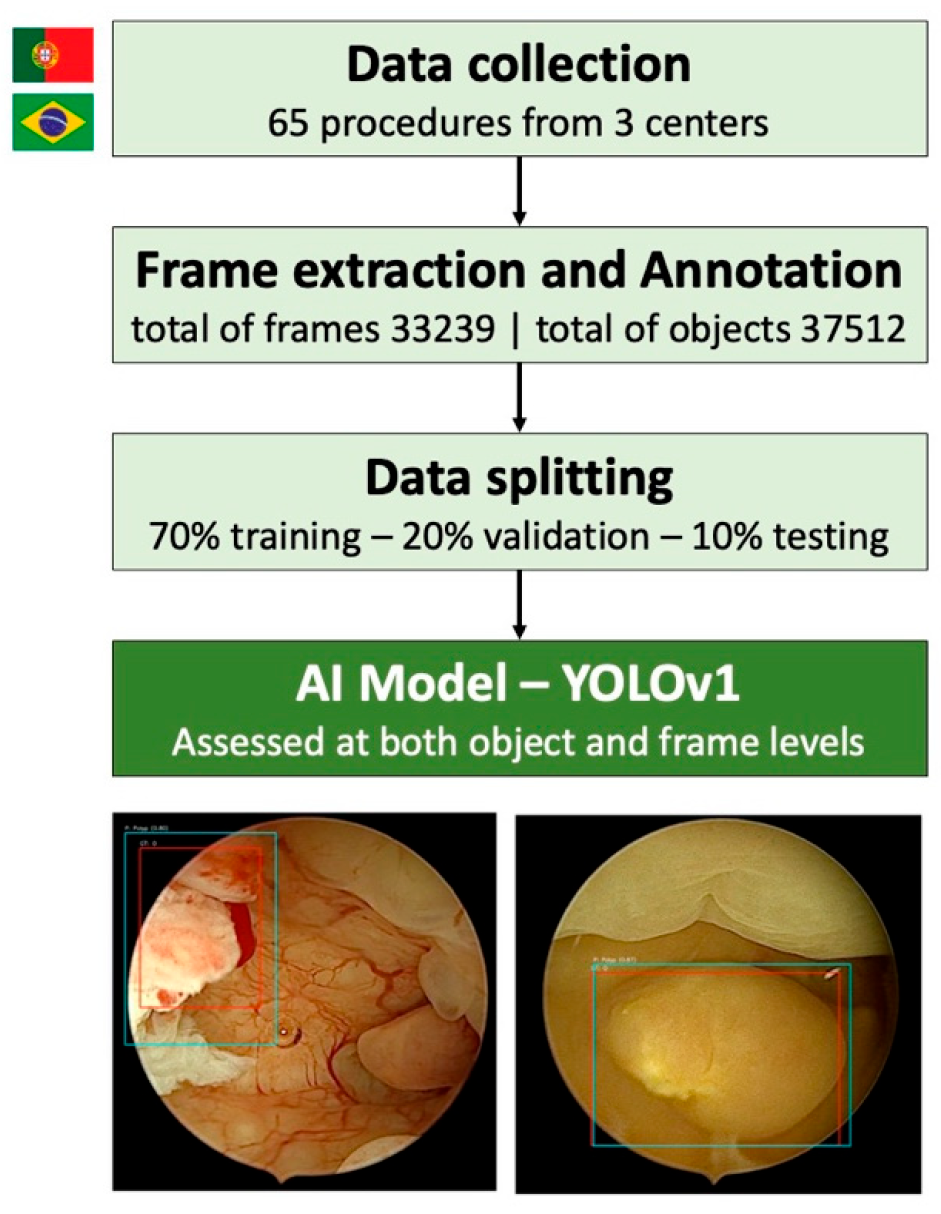 Cancers 17 02559 g003