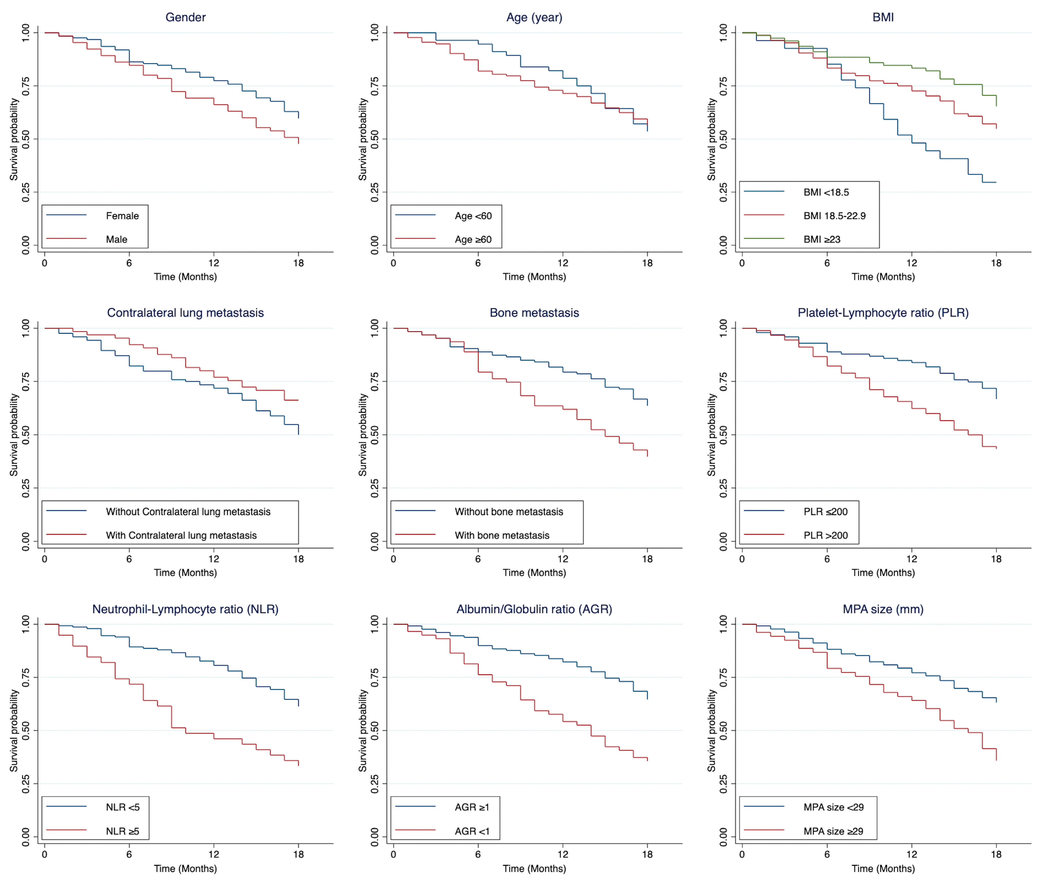 Cancers 17 02565 g002