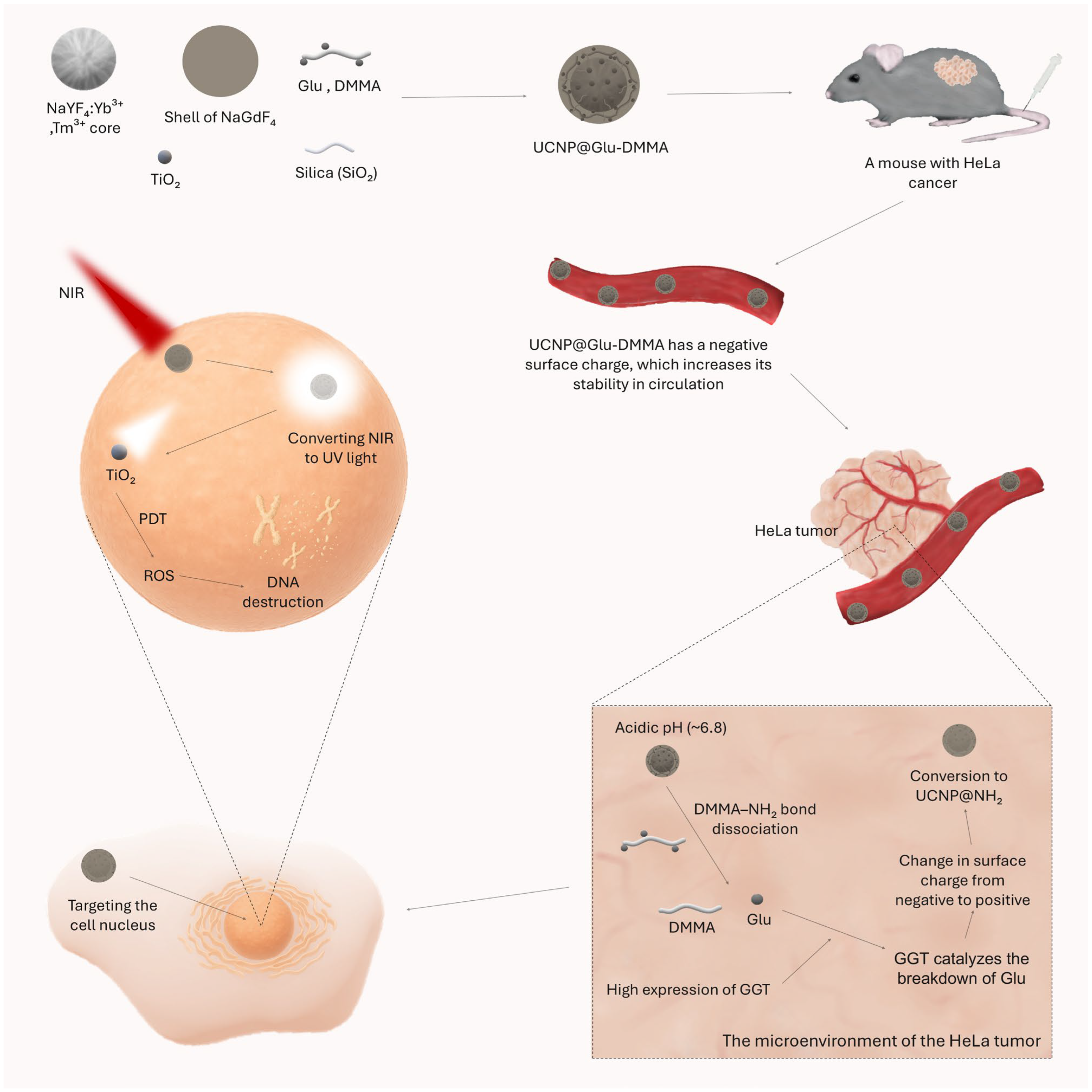 Cancers 17 02572 g001 Cancers 17 02572 g001